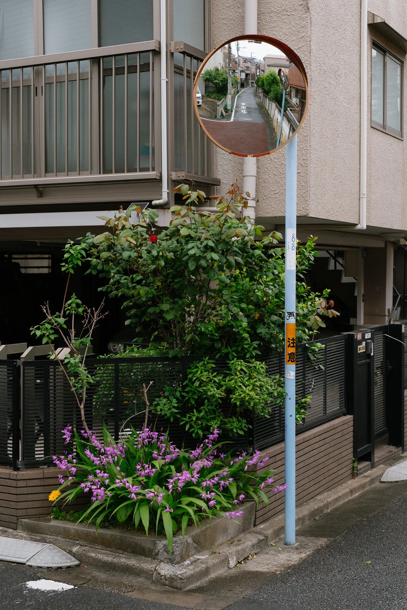 DSCF2091.jpg