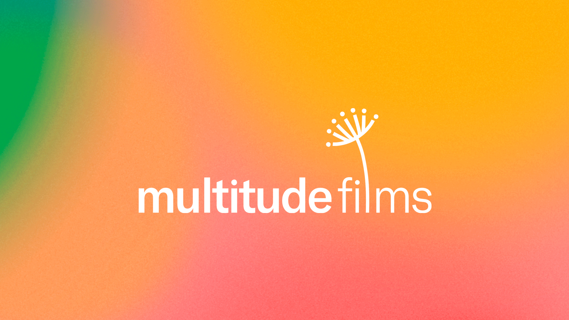 Multitude Films