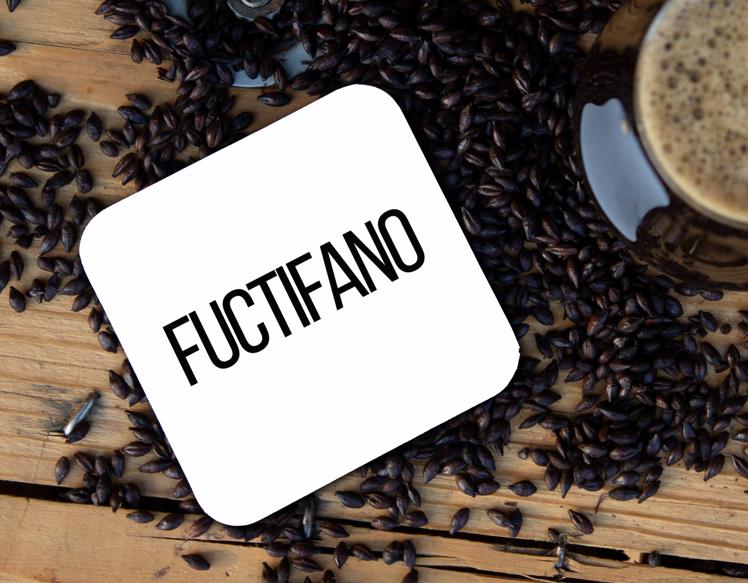 fuctifano mockup.jpg
