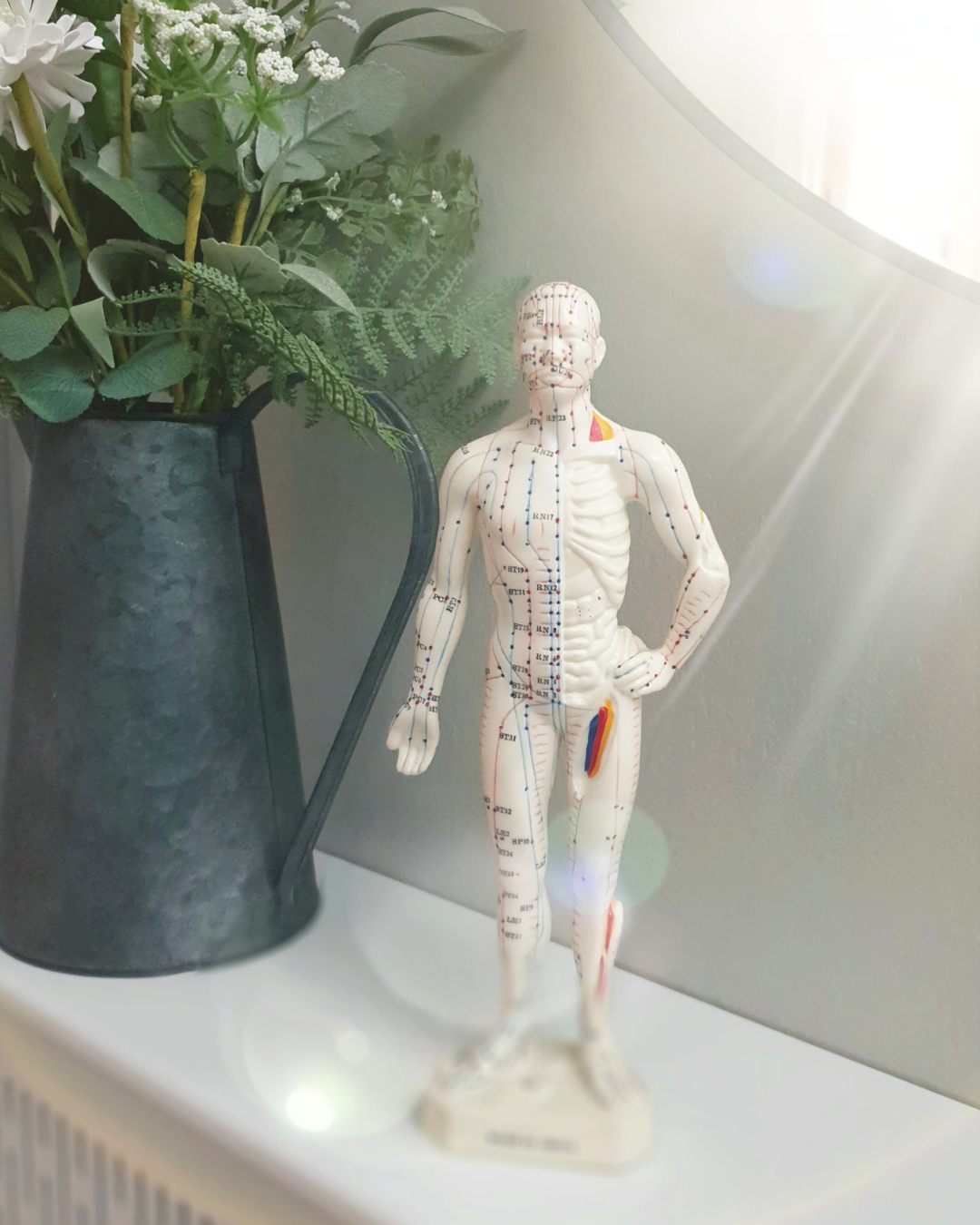 Spring Renewal: How Acupuncture Can Reset Your Energy for the Season