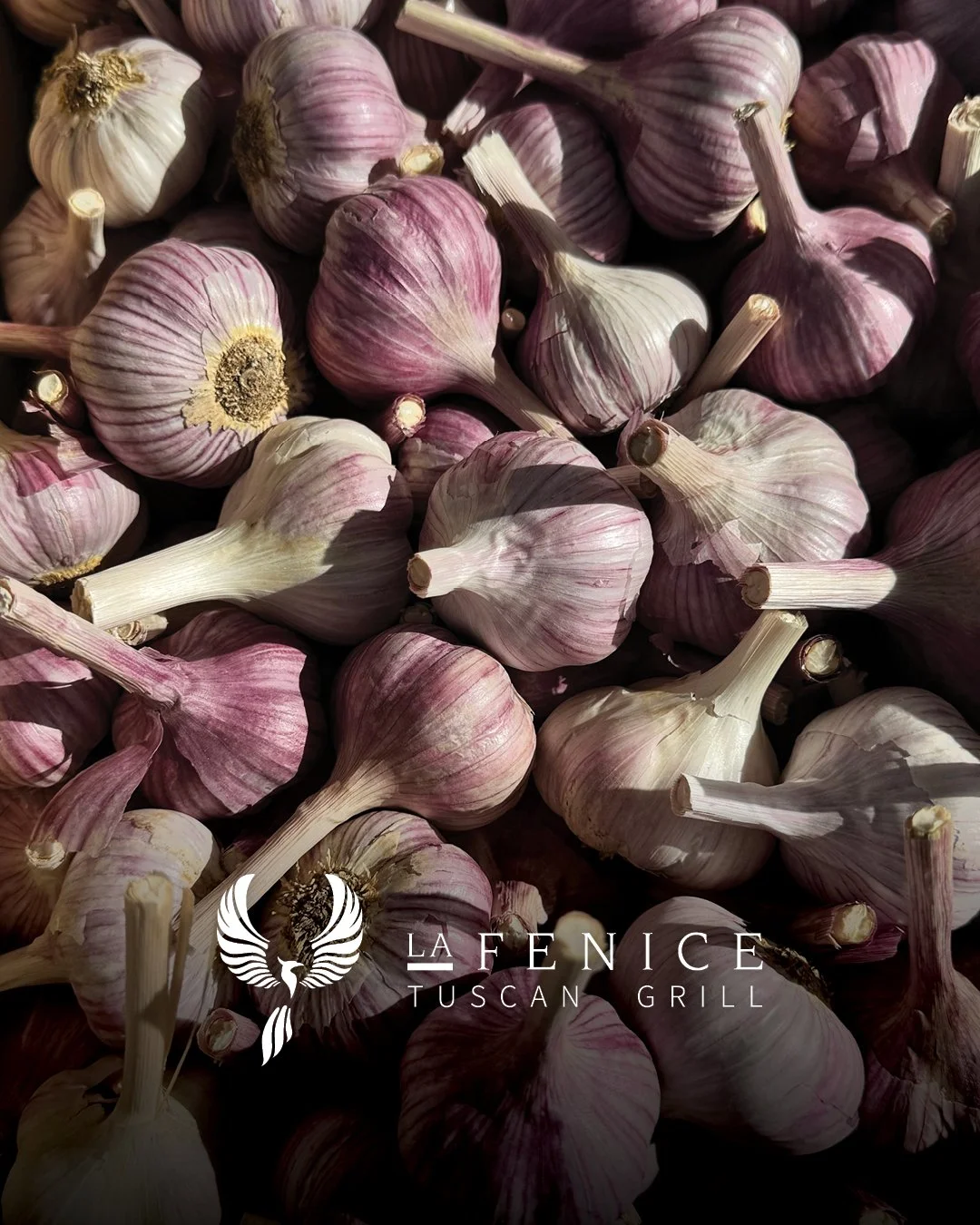 Celebrating the end of #OntarioGarlicWeek with a tribute to the allium!

A special and frequent ingredient, garlic is a staple in many Italian dishes. Along with olive oil and onion, it forms the soffritto (aromatic base) in countless dishes from pas