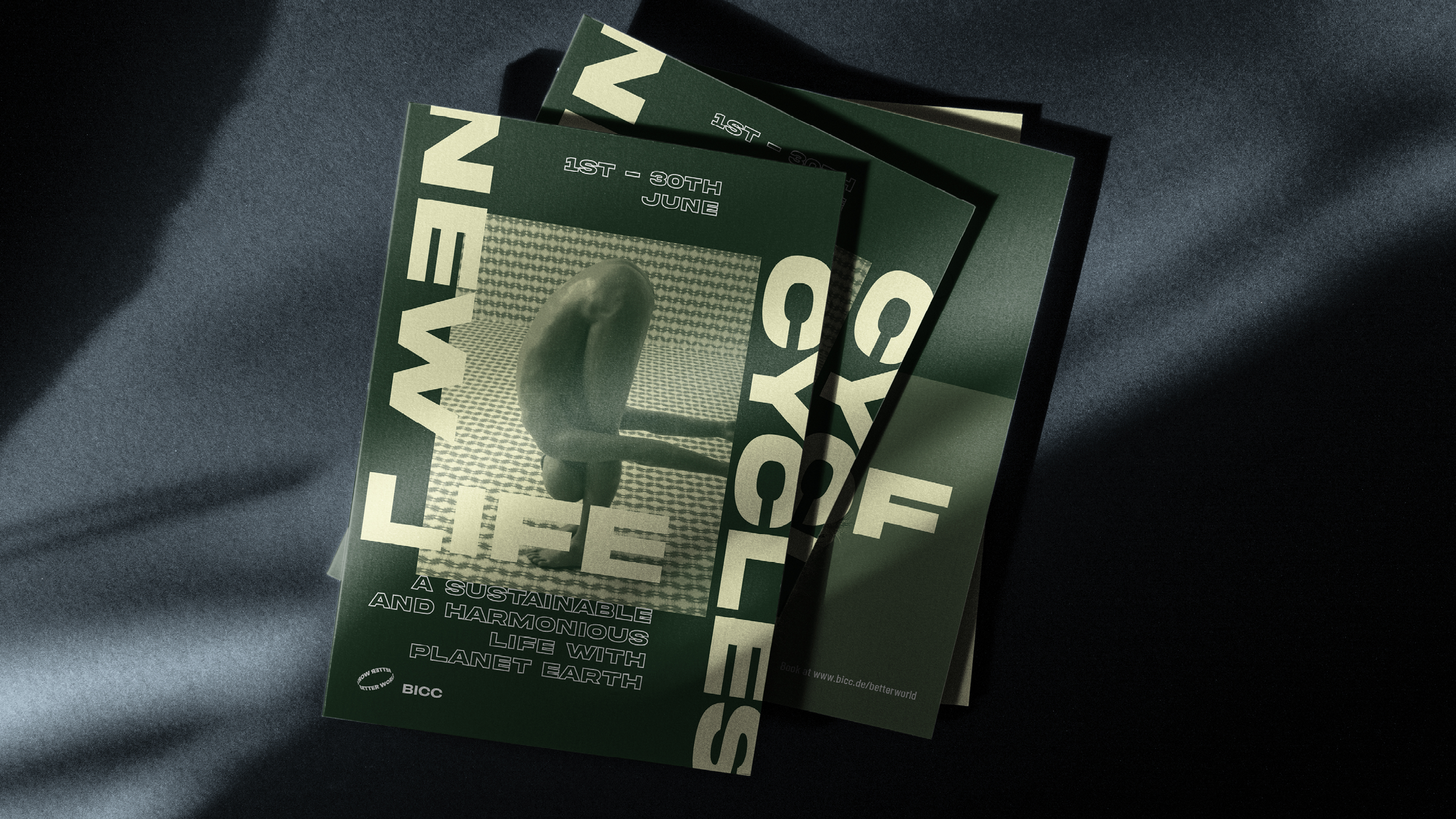 Portfolio_Izzie Claridge33.png