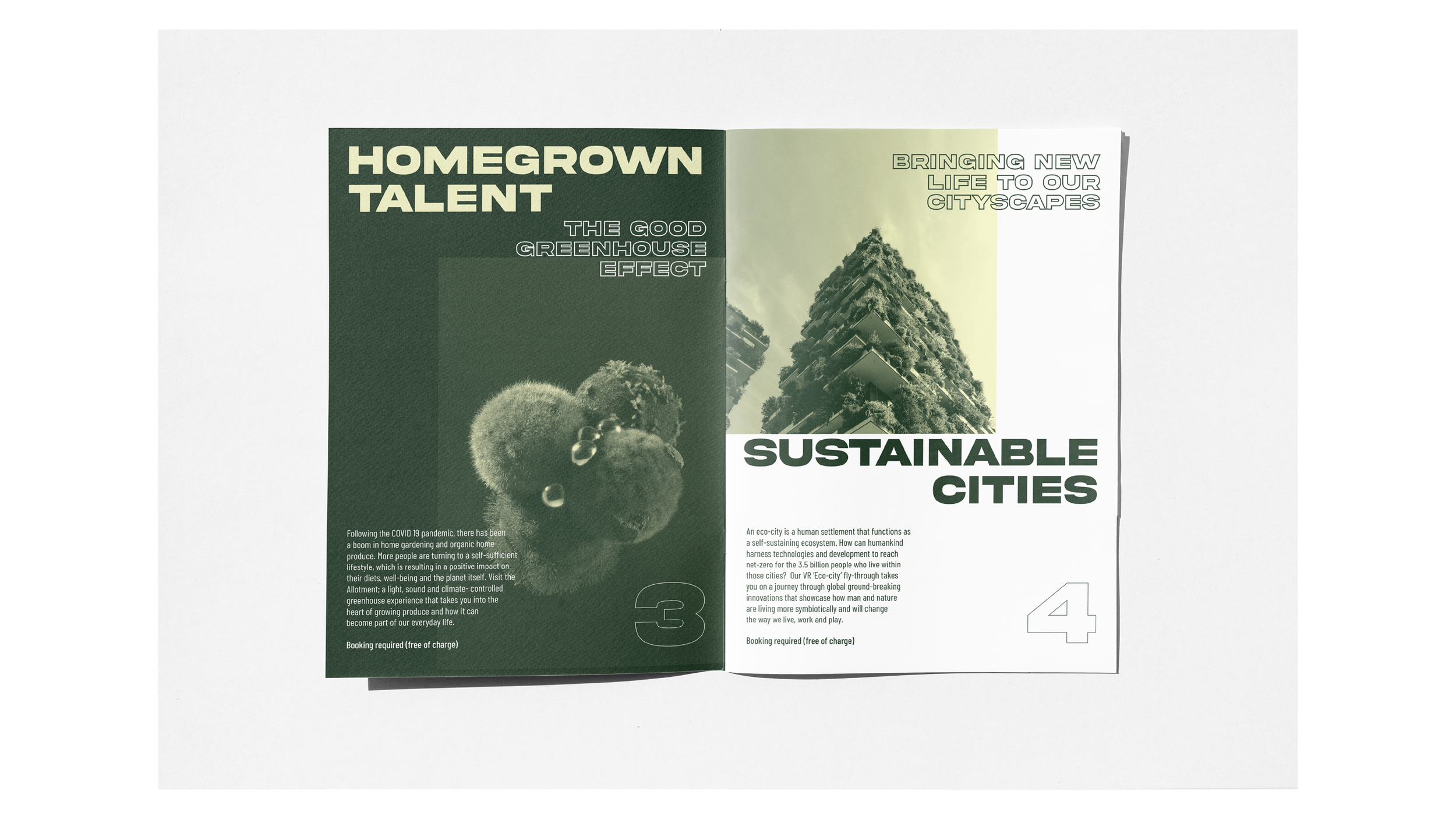 Portfolio_Izzie Claridge36.png