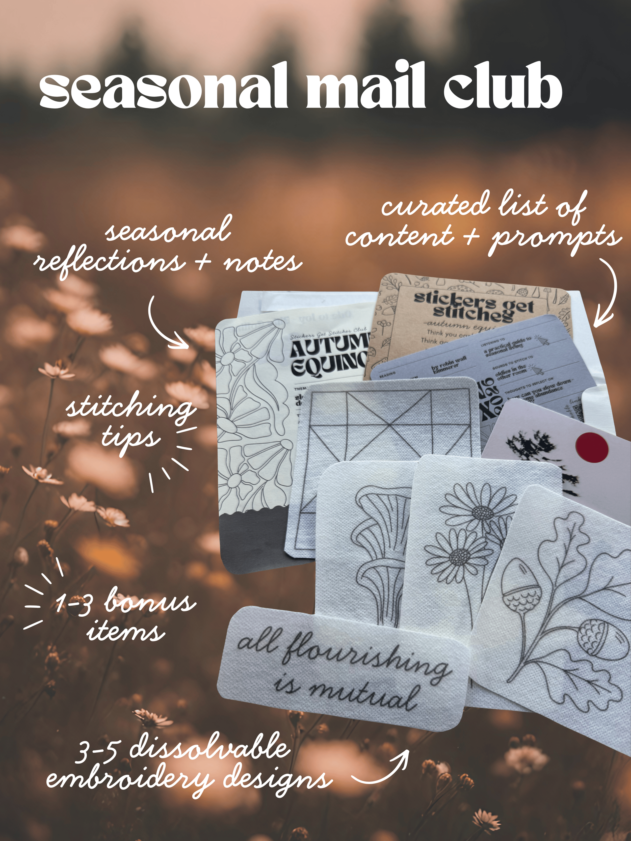 Mail Club Images (2).png