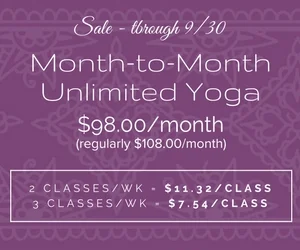 monthly unlimited (Copy)