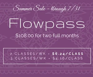 Flowpass - 2016 Summer Sale (Copy)