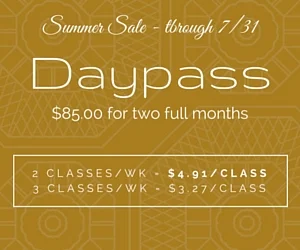 Daypass 2016 Summer Sale (Copy)