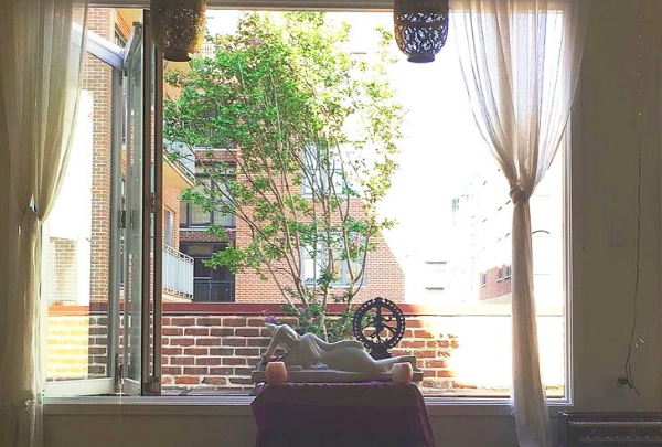The Healing Energy Of Plants
