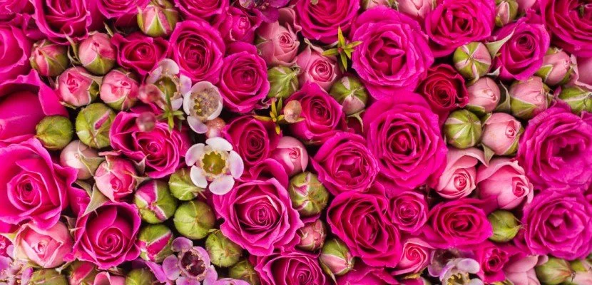 The Art and Heart of Self Care