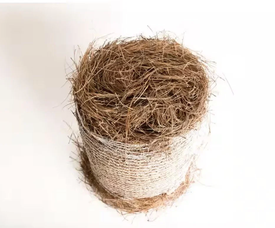 Close-up of a roll of corrugated cardboard with the top exposing the shredded interior layers.