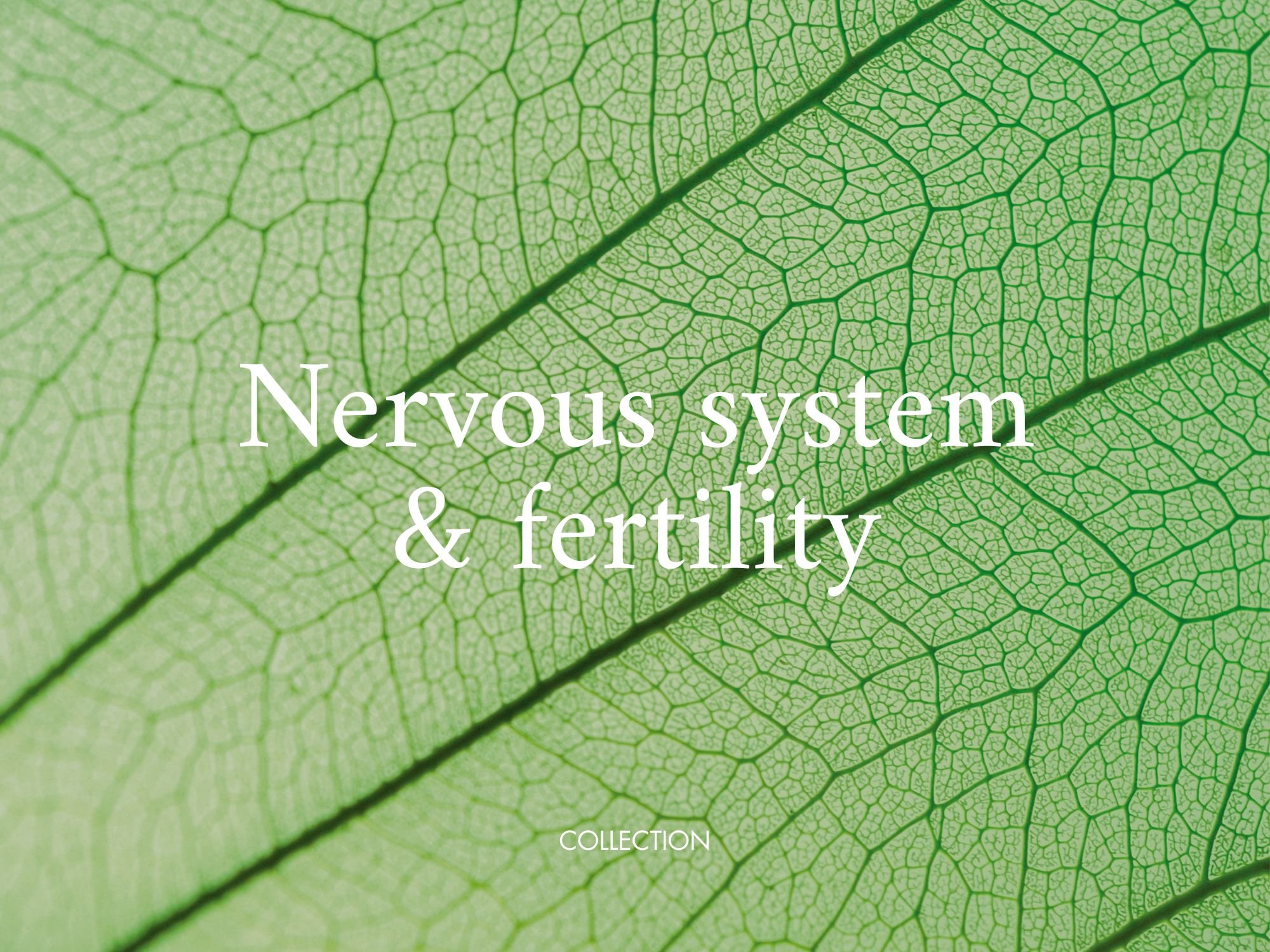 Fertility &amp; the nervous system