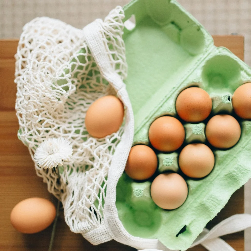 fertility-nutrition-eggs-protein-hormone-support.jpg