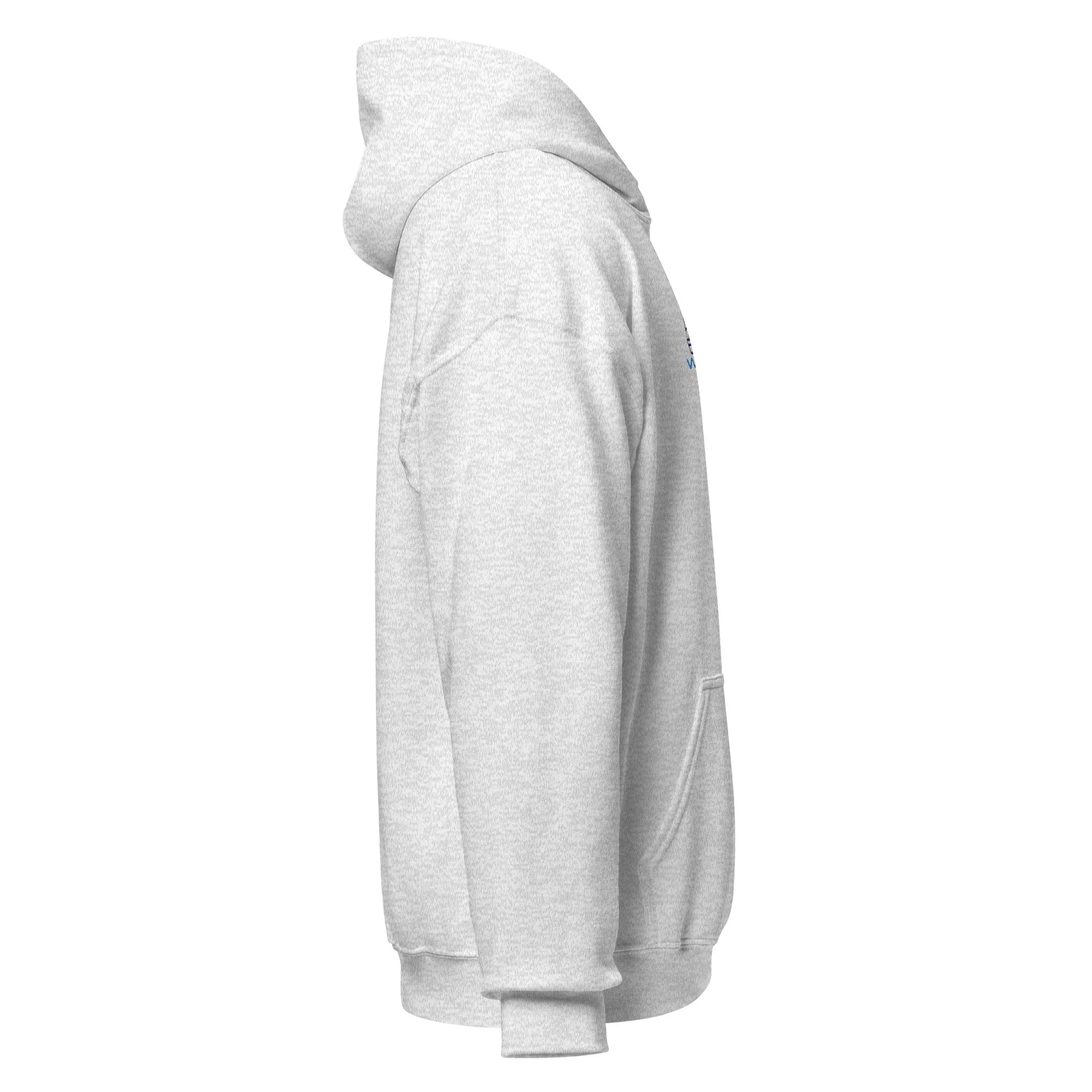 unisex-heavy-blend-hoodie-ash-right-683de7c90821a.jpg