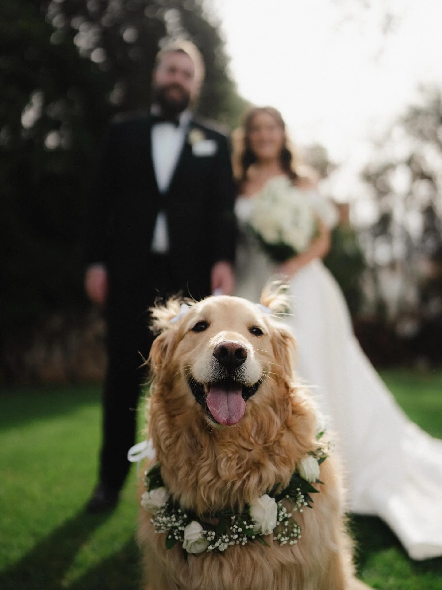 Jade &amp; Marcel
&hellip;&amp; Rosie 😍🐾

Thanks for an amazing day legends 🫶