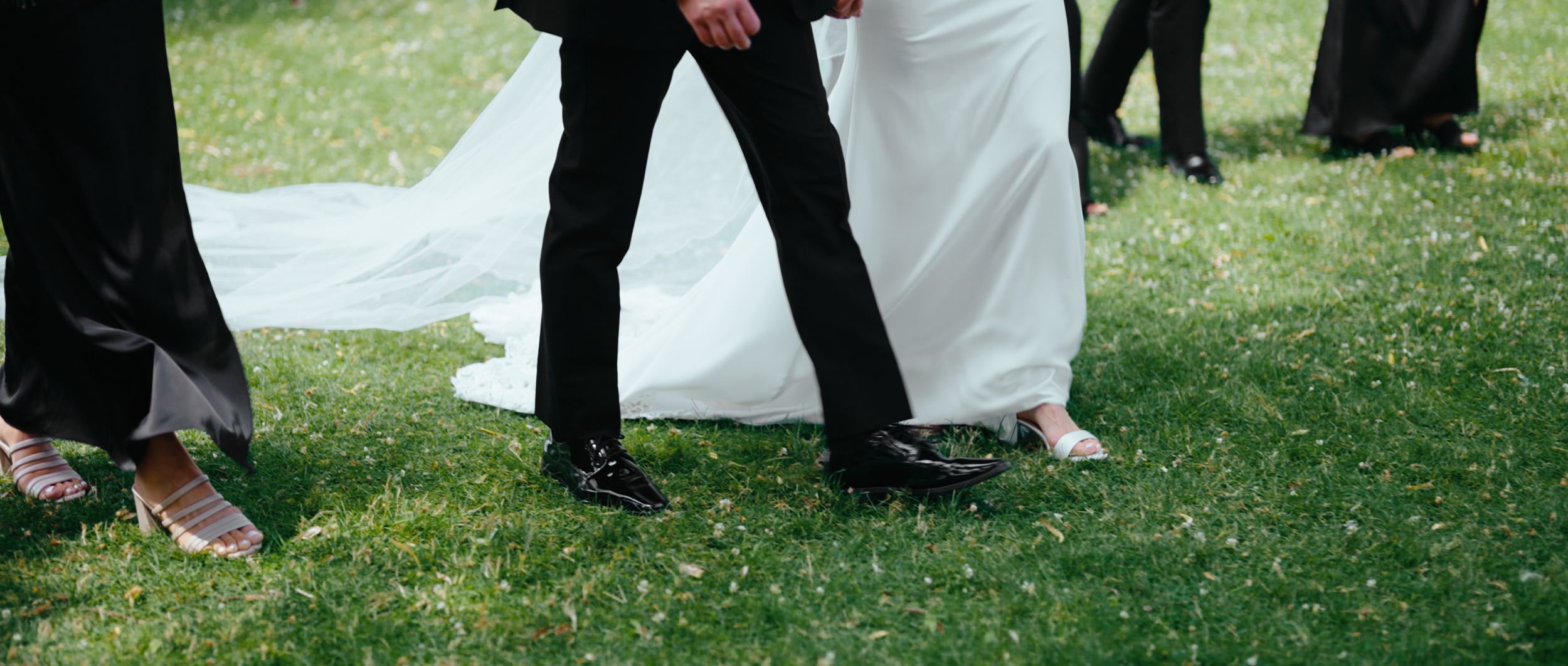 Still 2026-02-14 132520_1.35.1.png