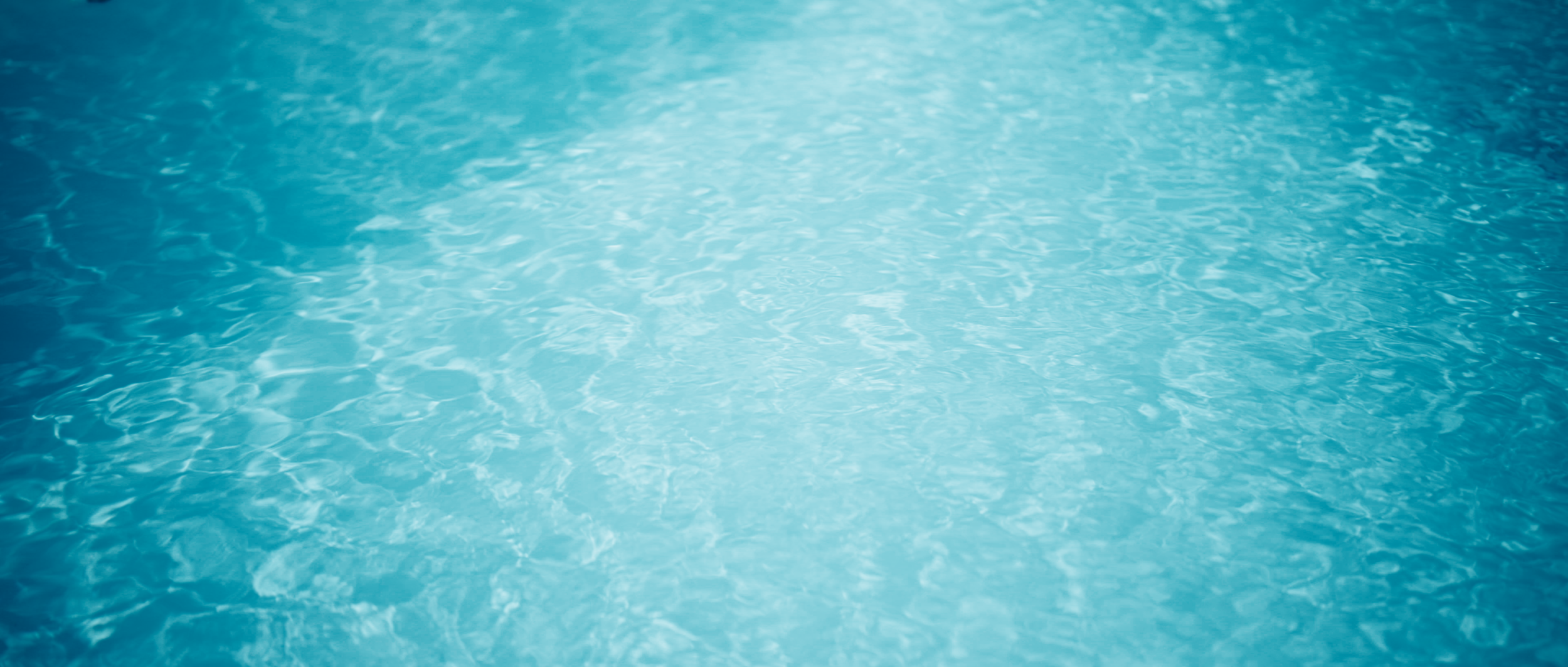 Still 2026-02-14 132520_1.41.1.png