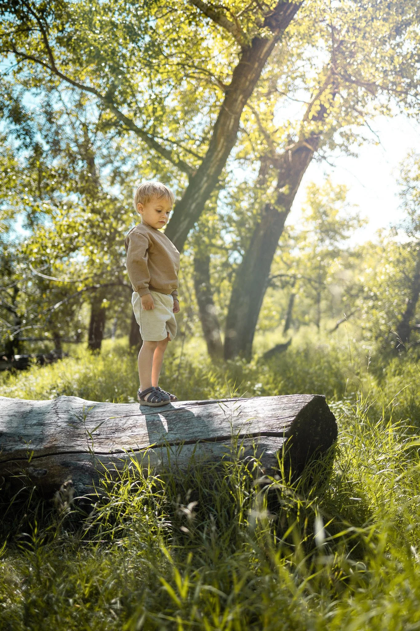 R & A - Fish Creek Calgary - 8.jpeg