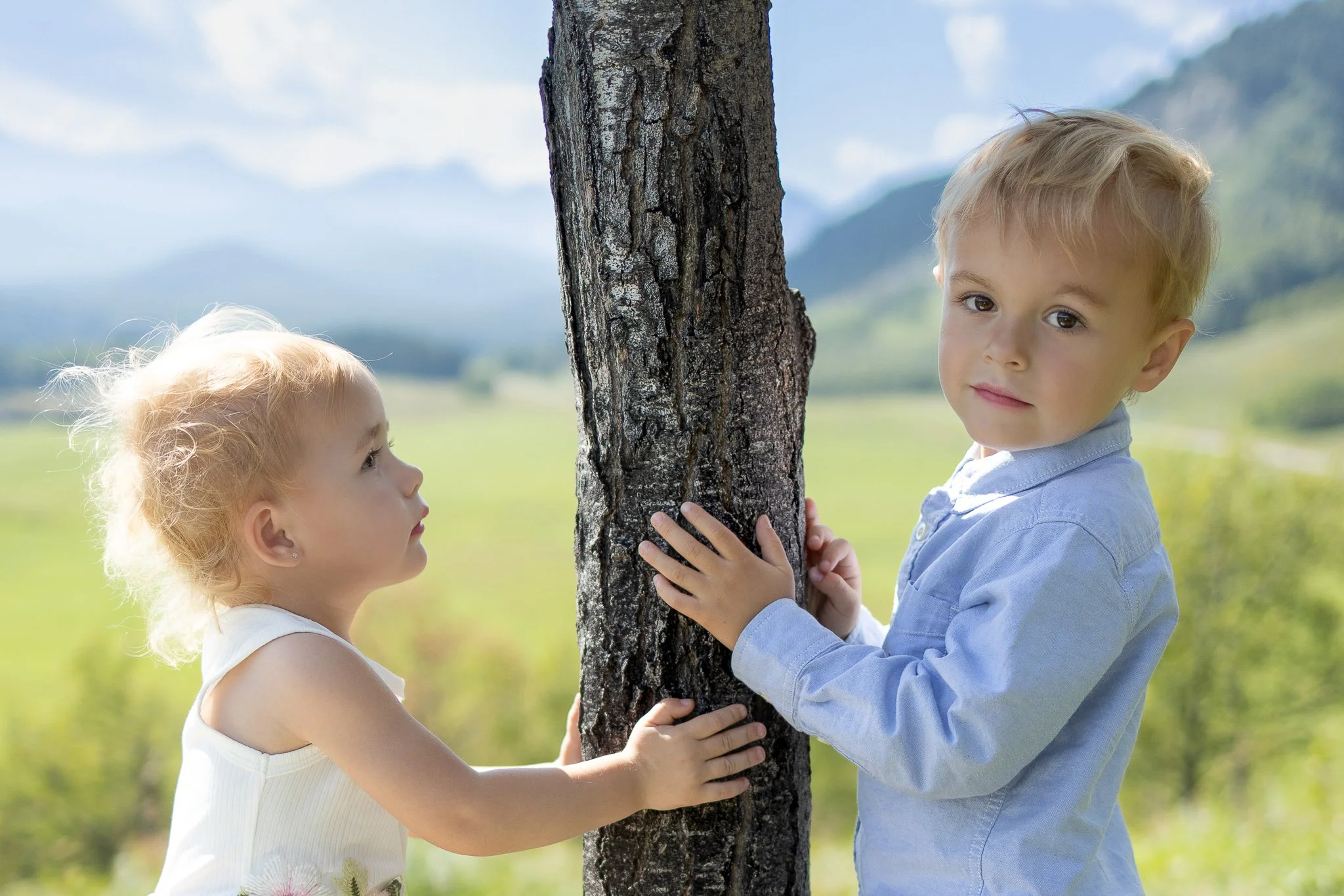 Bighorn Lookout (web)-10.jpg