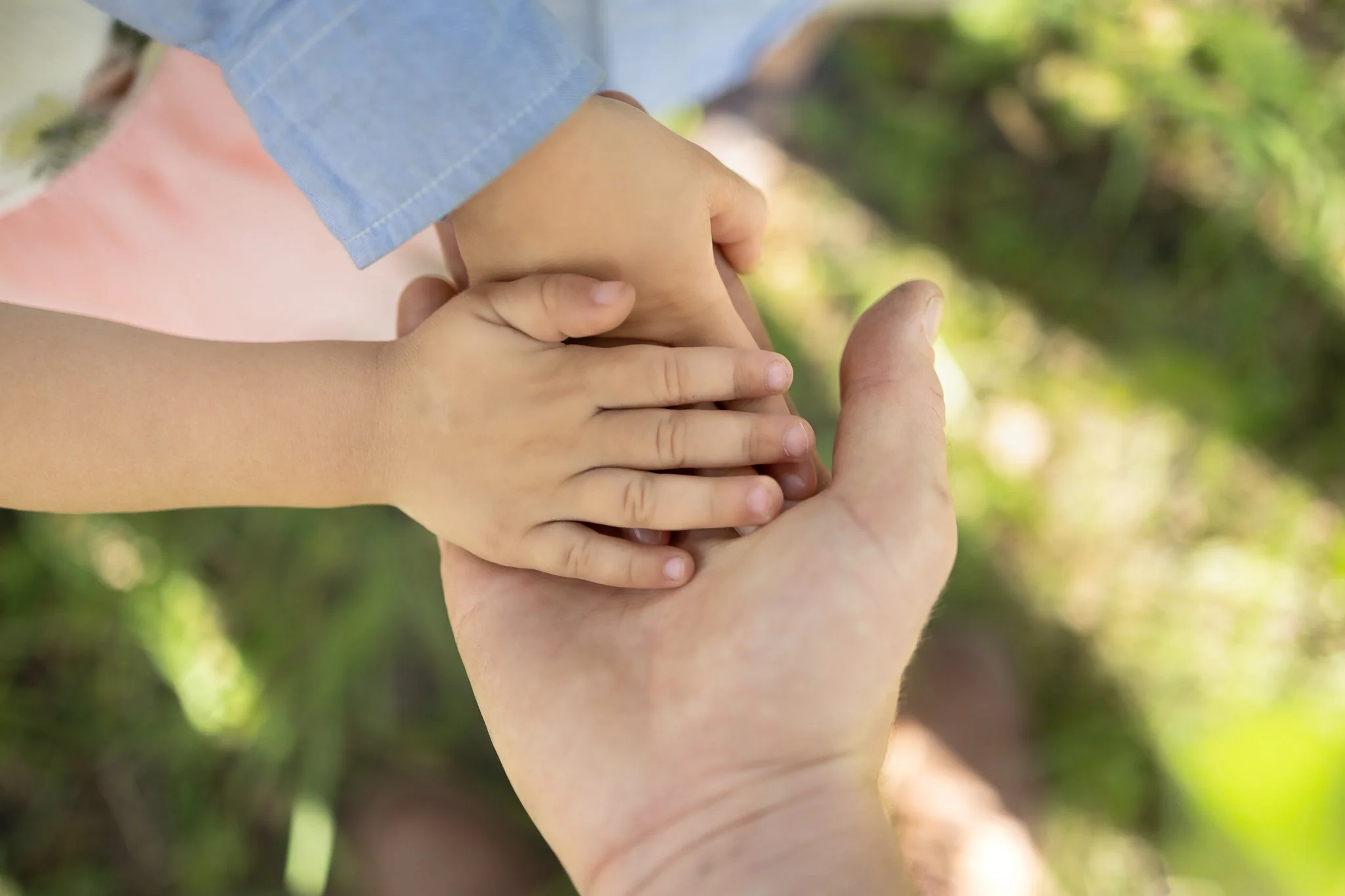 Bighorn Lookout (web)-11.jpg