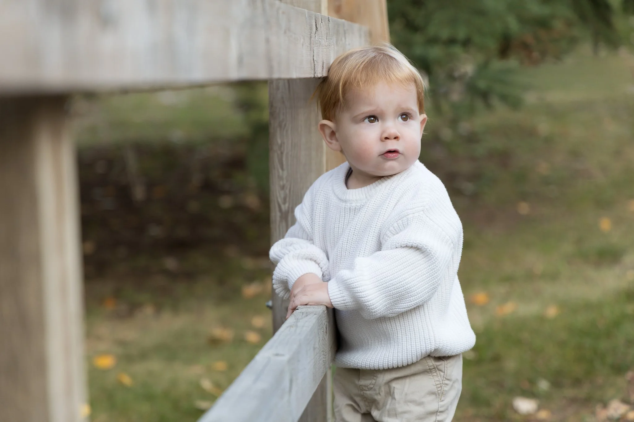 The Deck Family - Confederation Park 2025-13.jpg