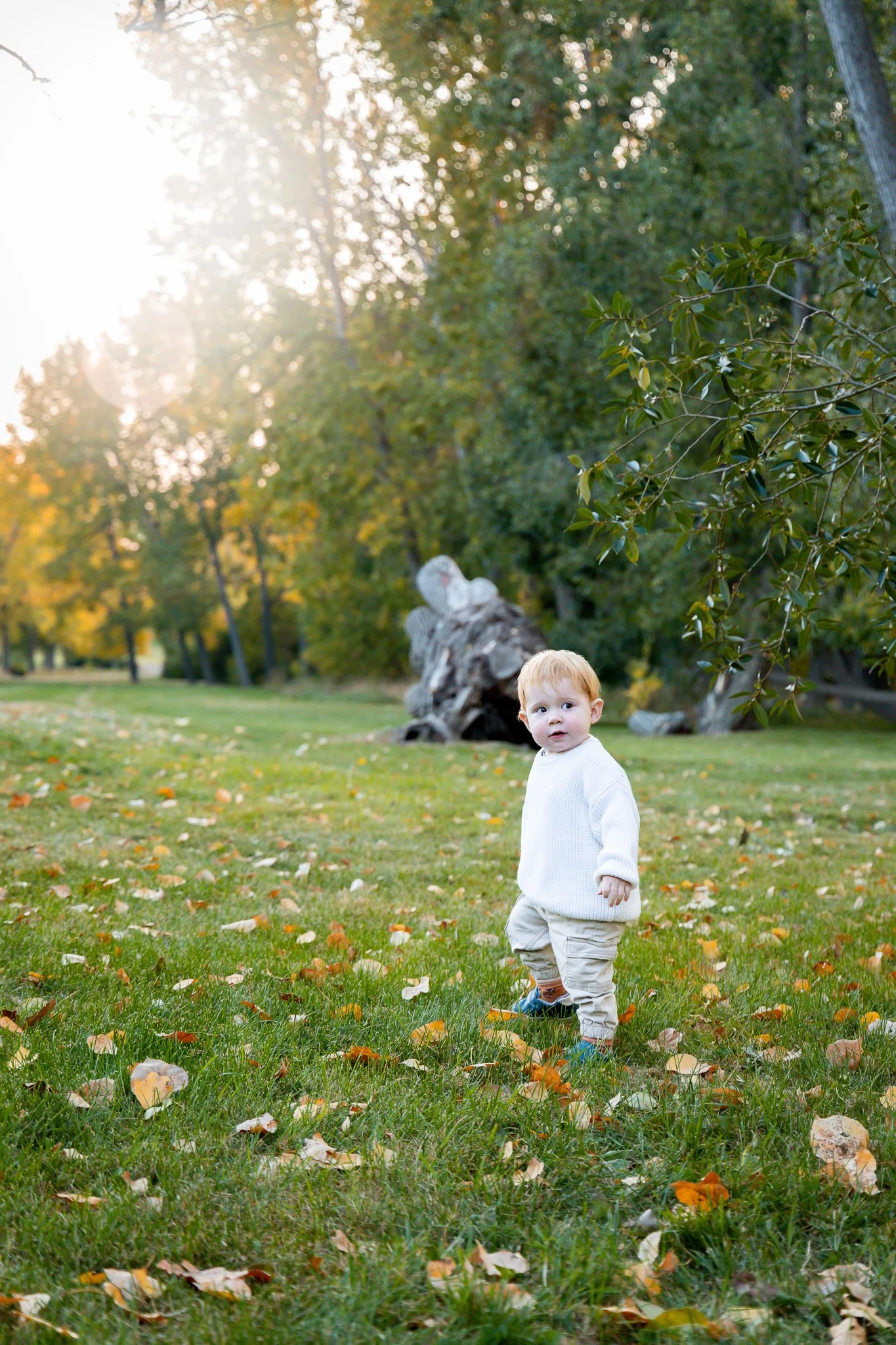 The Deck Family - Confederation Park 2025-34.jpg