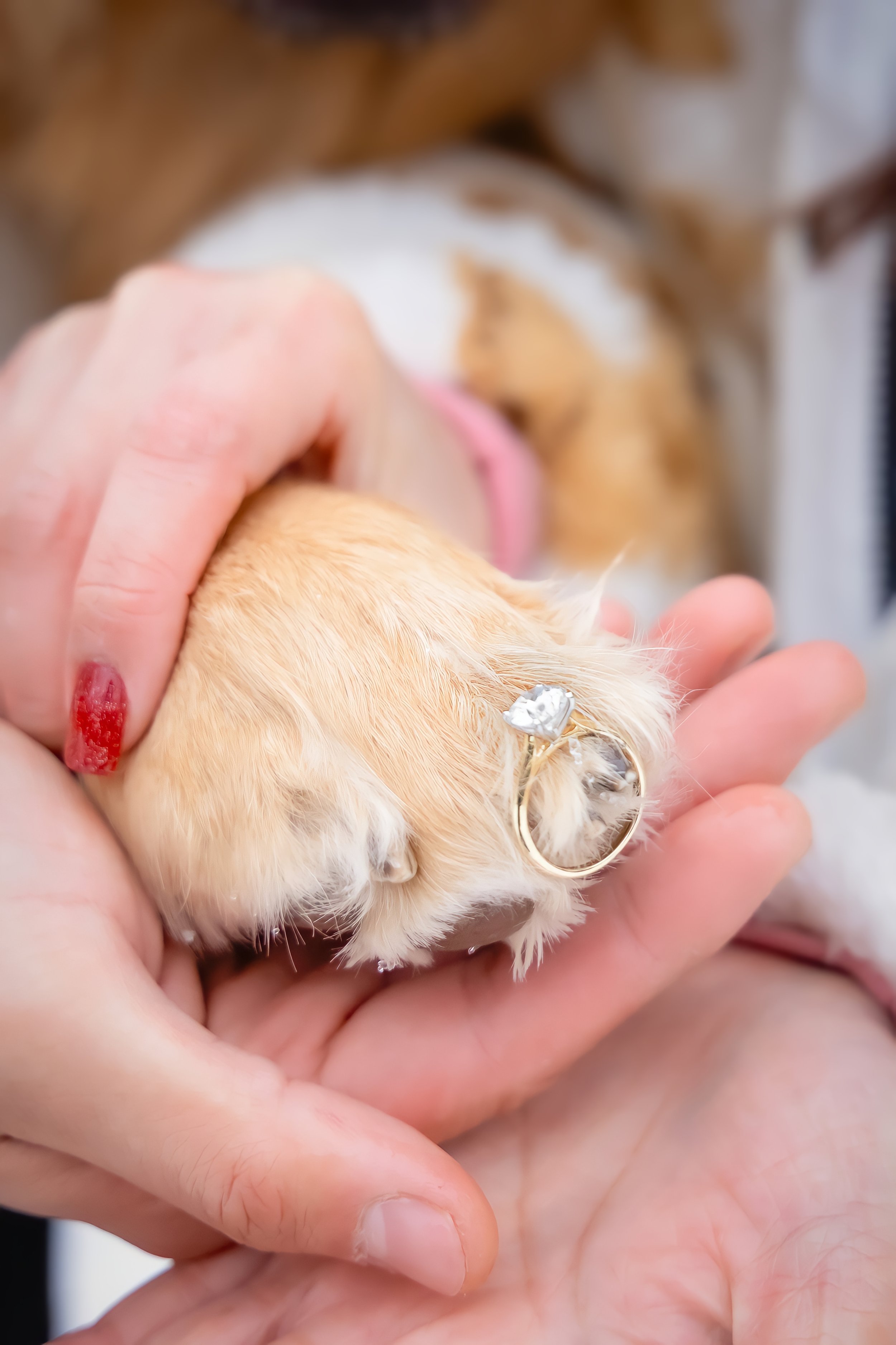 The Bacani Family - 20.jpg