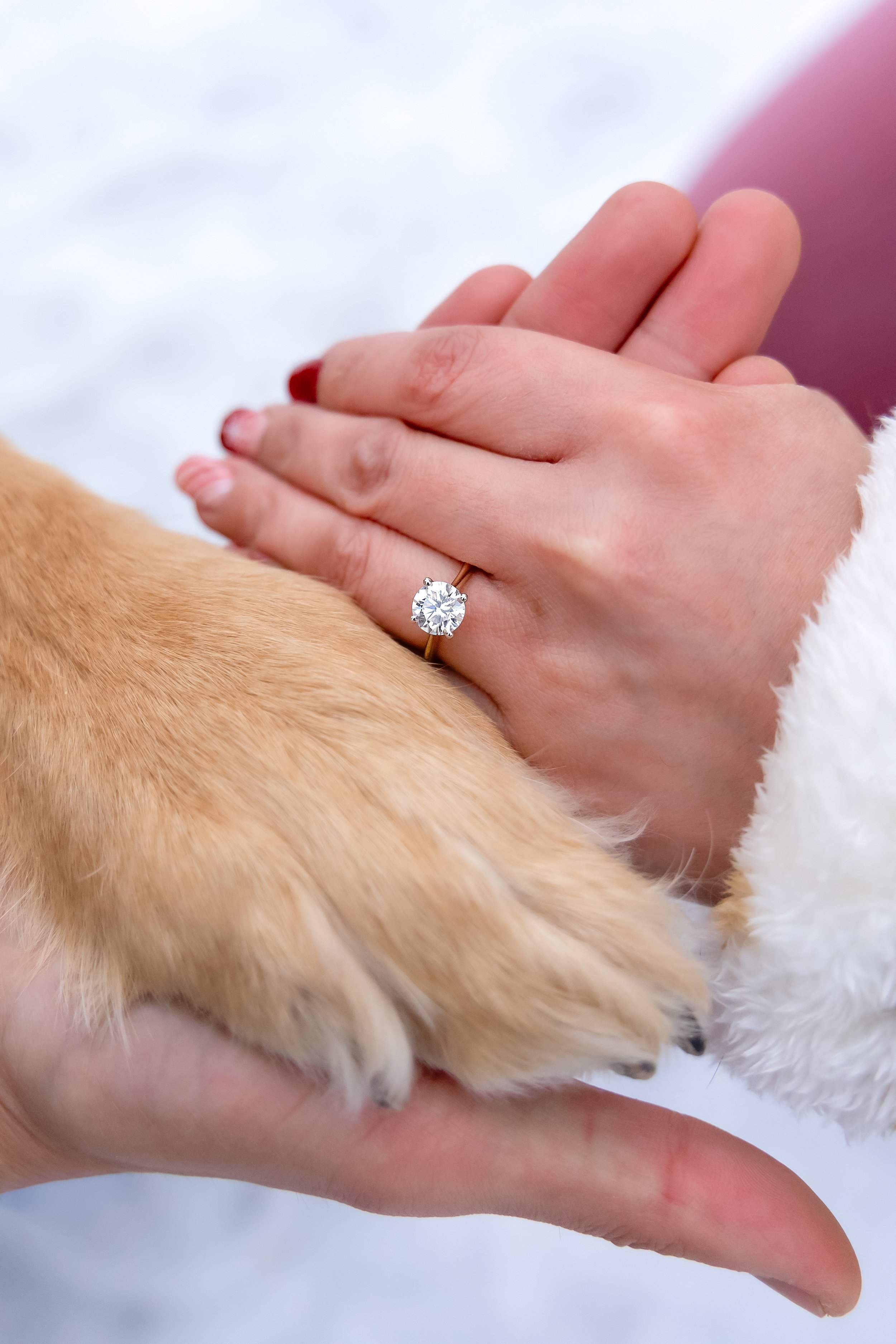 The Bacani Family - 27.jpg