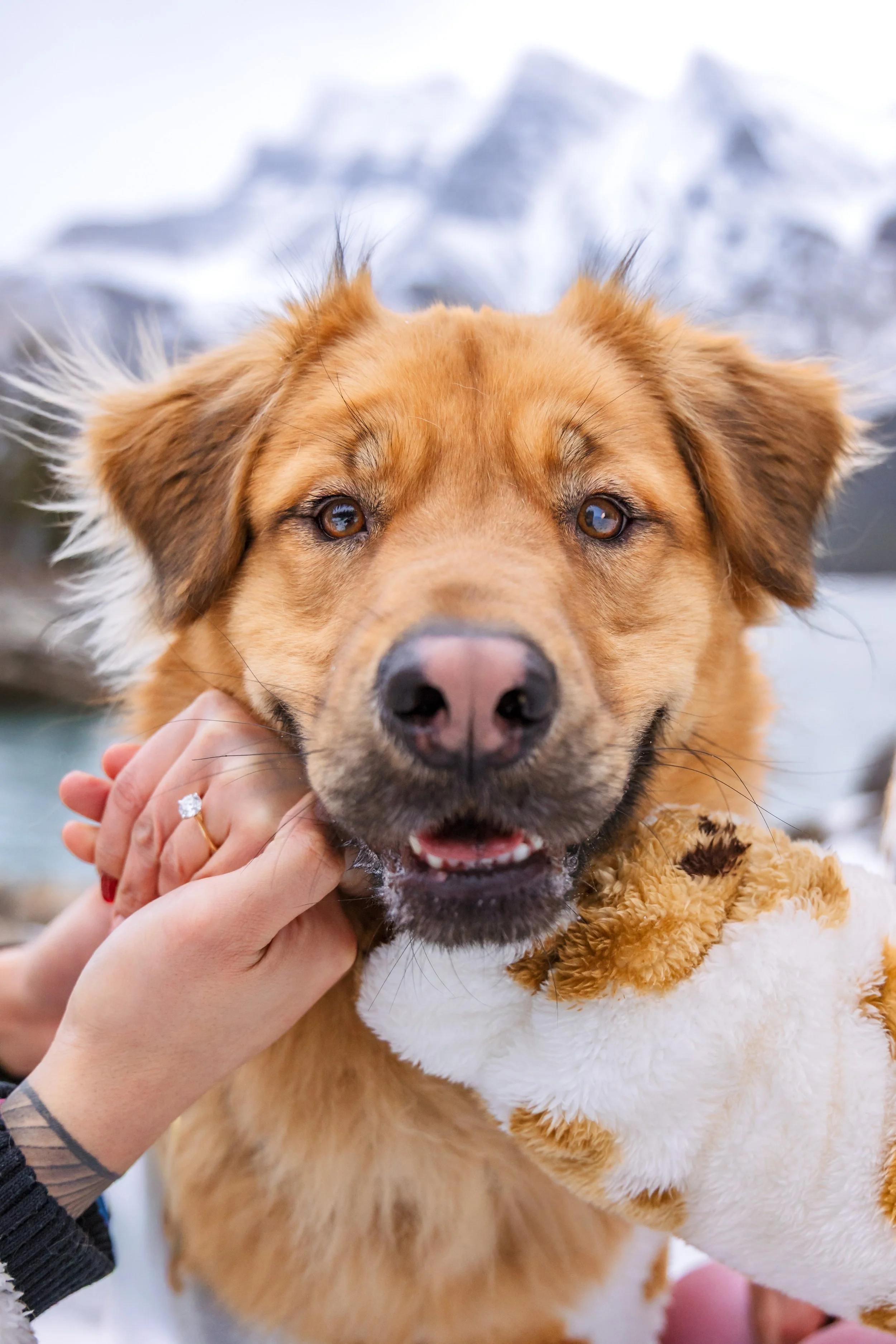 The Bacani Family - 9.jpg