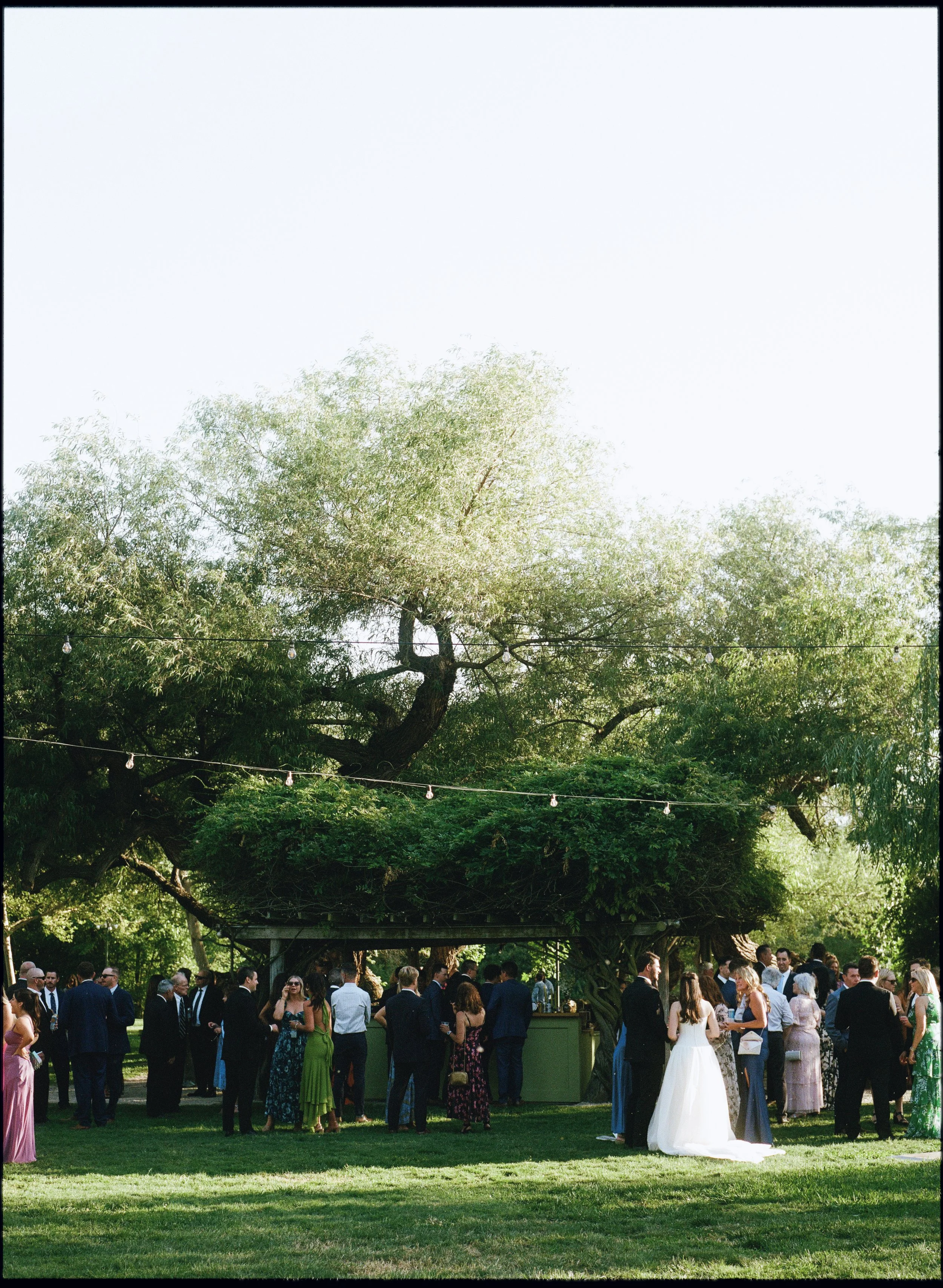 Scan234212.jpg