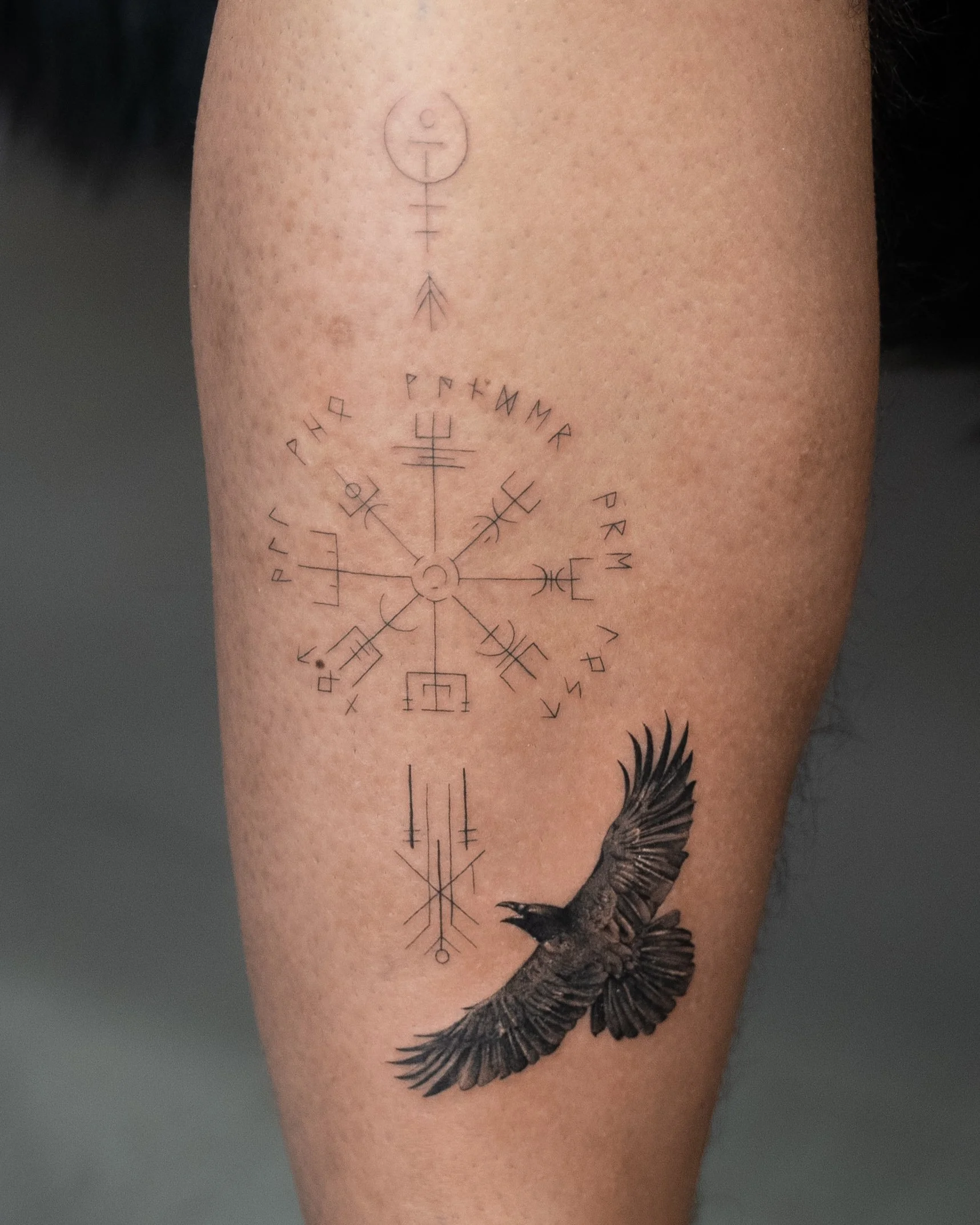 tatu.JPG