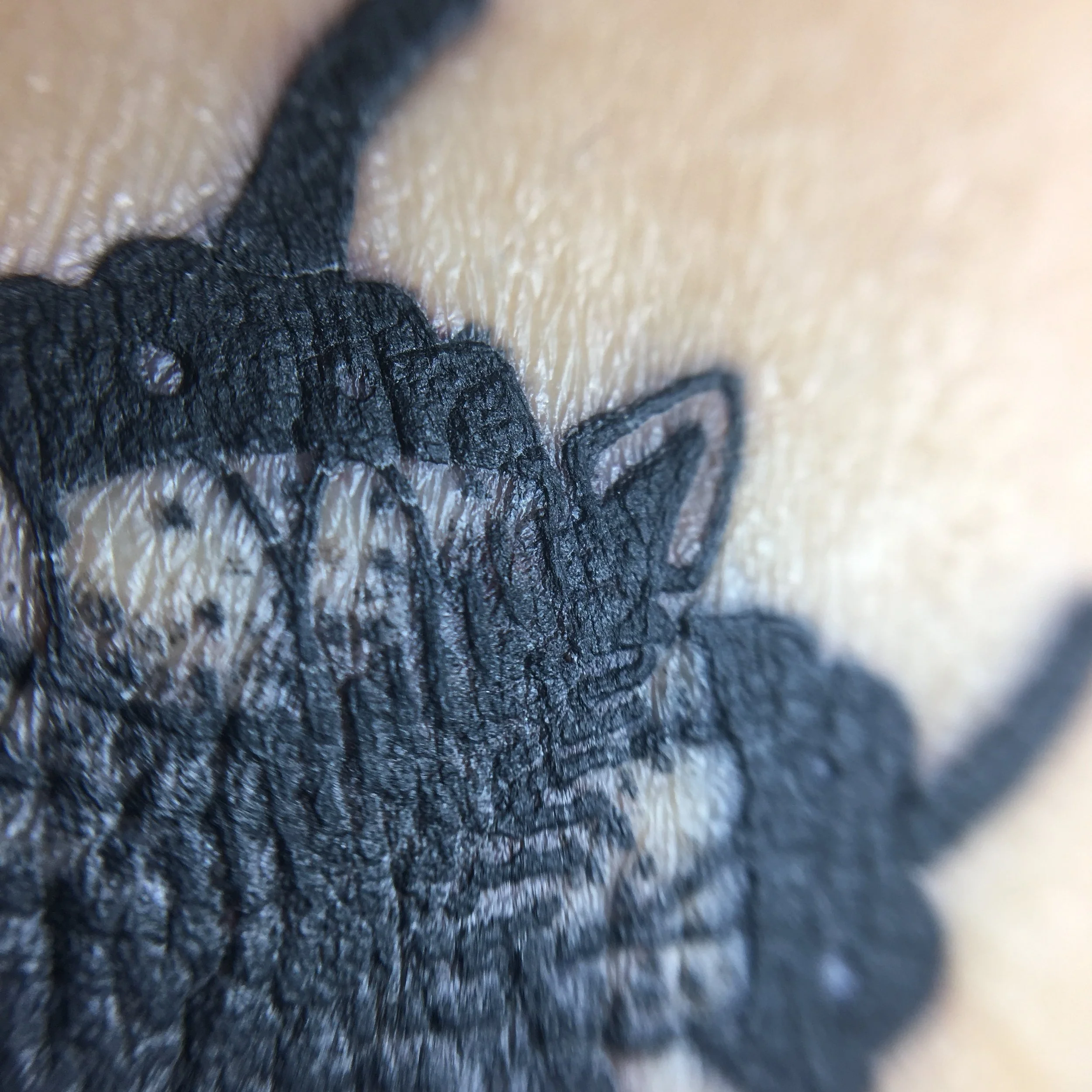 Its normal for the tattoo to look and feel like this from day 3 to 8. (may vary from one another)