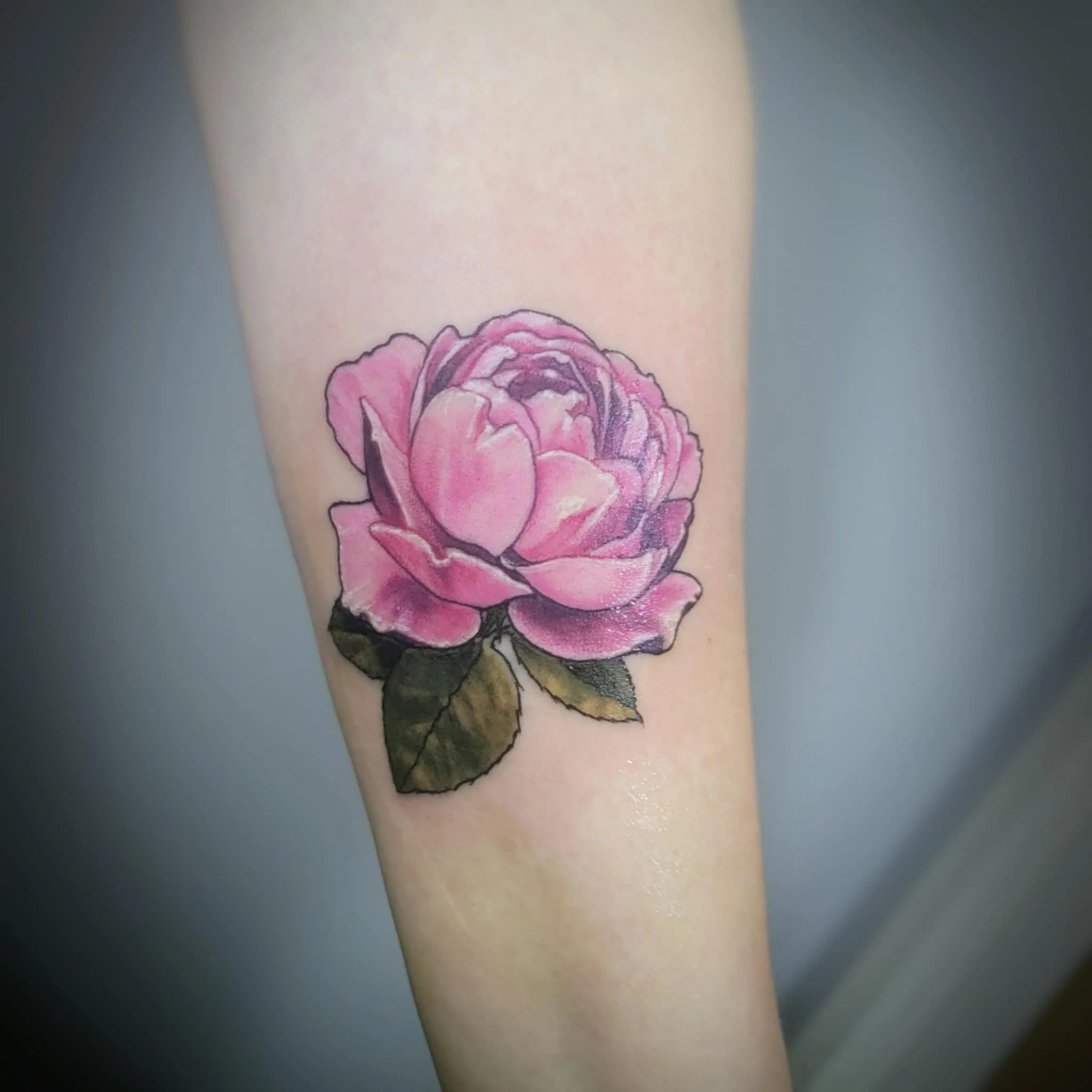 Pink and purple rose tattoo on person's arm with green leaves.