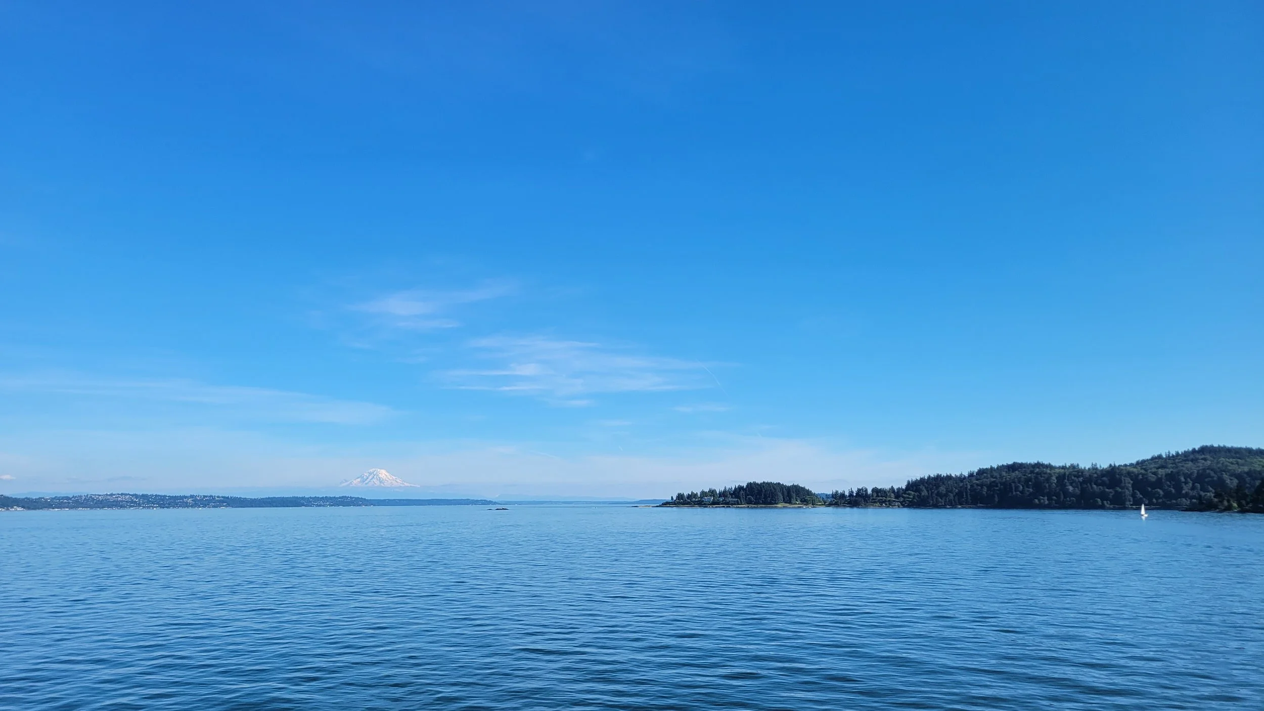 20220710_175827 - Copy.jpg