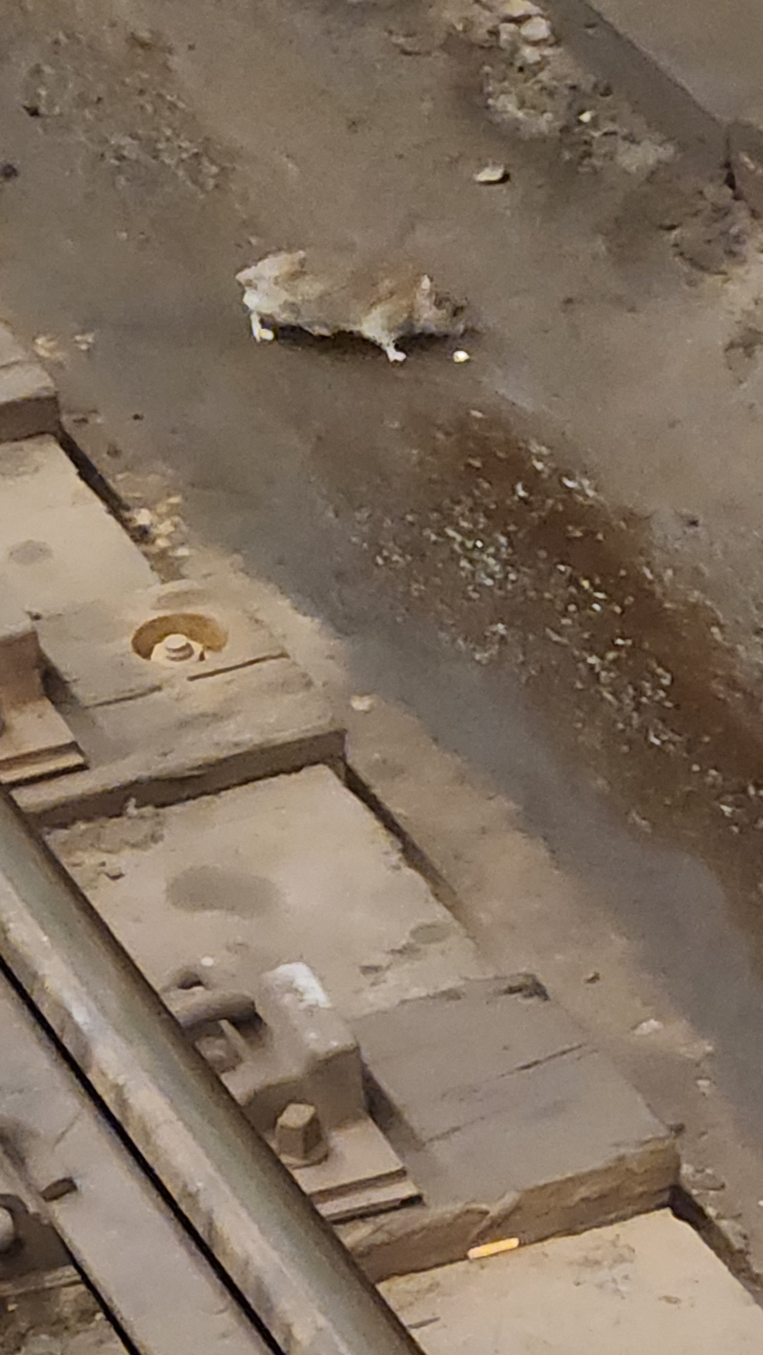 20230715_141033.jpg