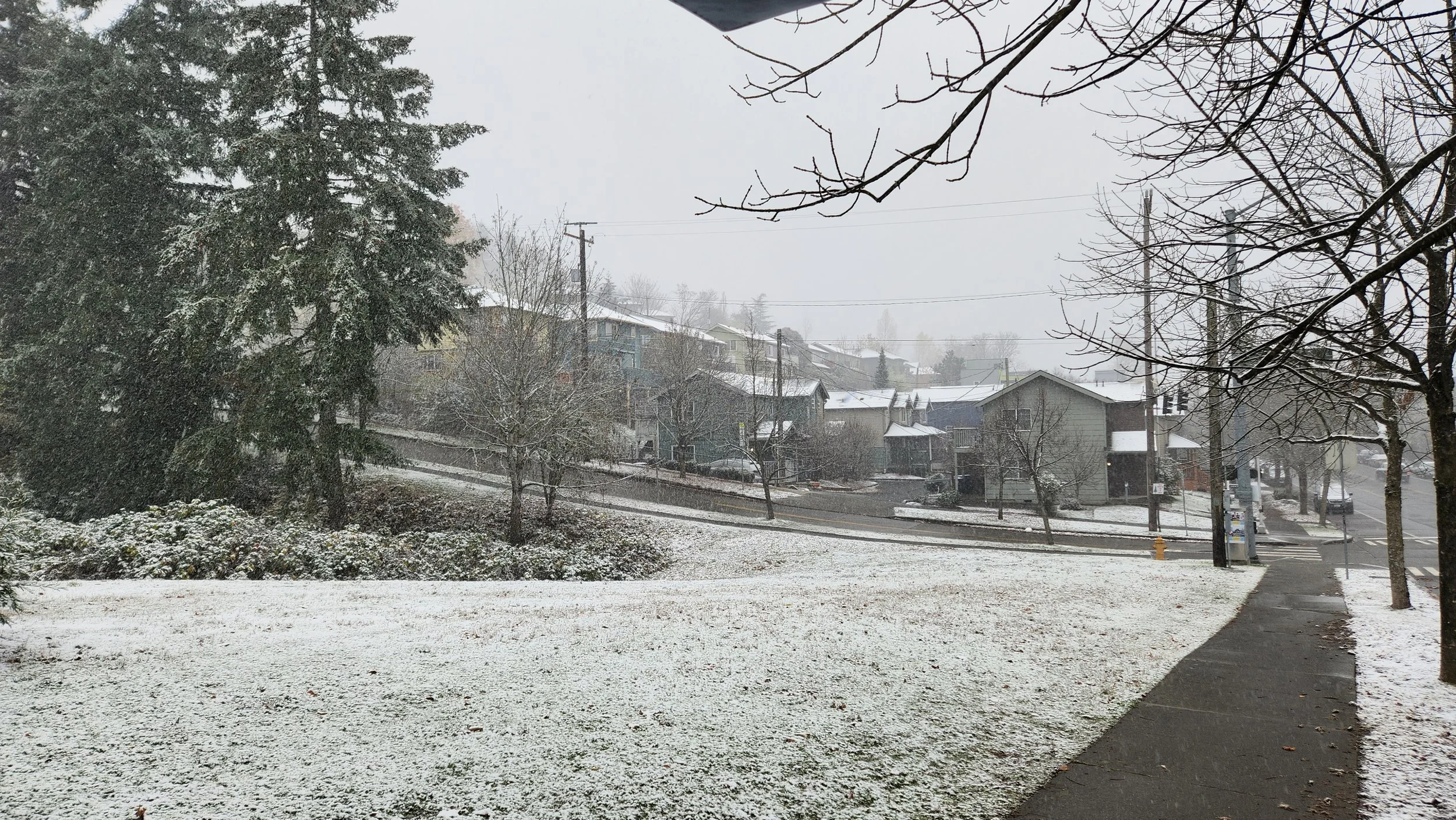 20221129_092631.jpg