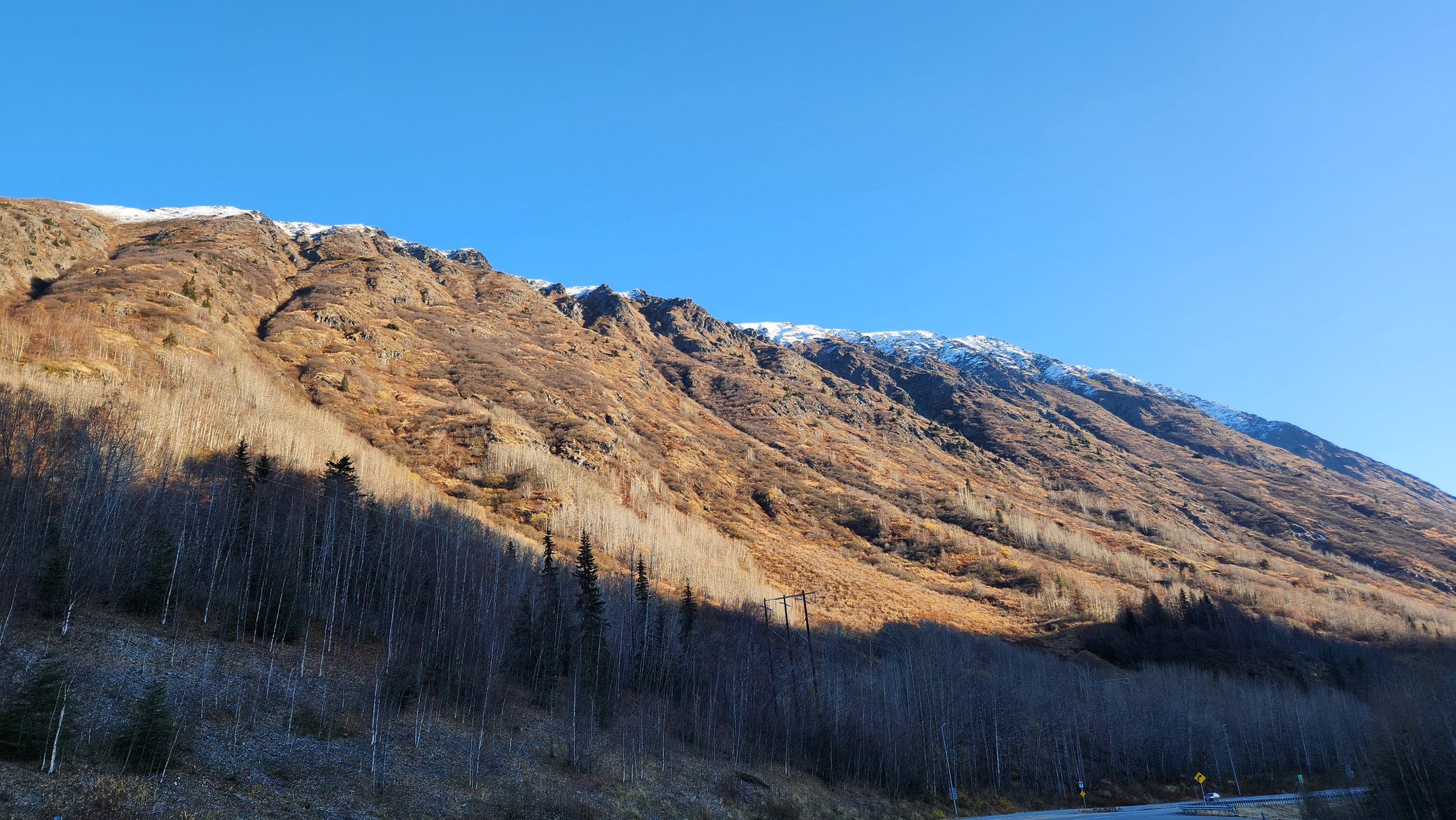 20231022_115034.jpg