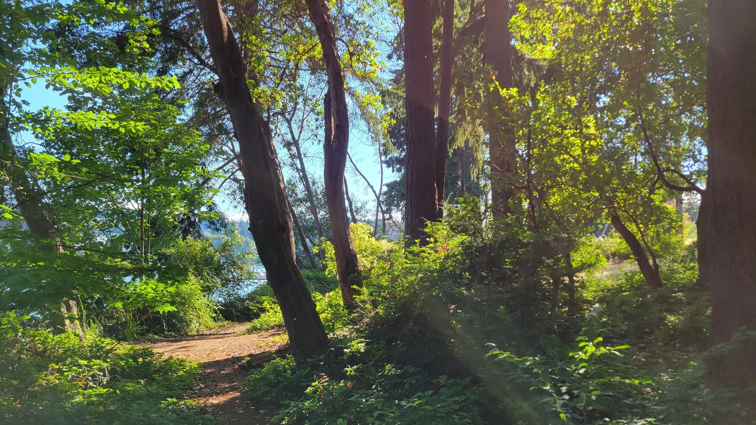 20220710_171116 - Copy.jpg