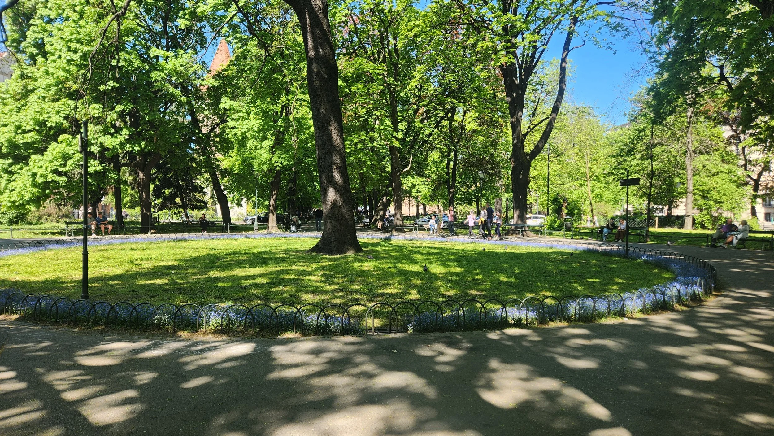 20260503_103733.jpg