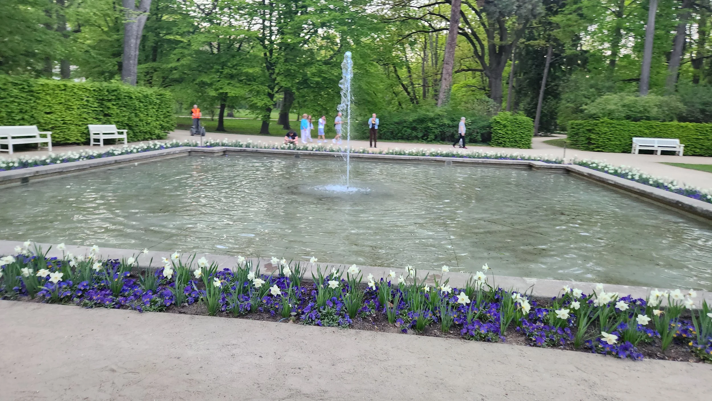 20260502_193952.jpg