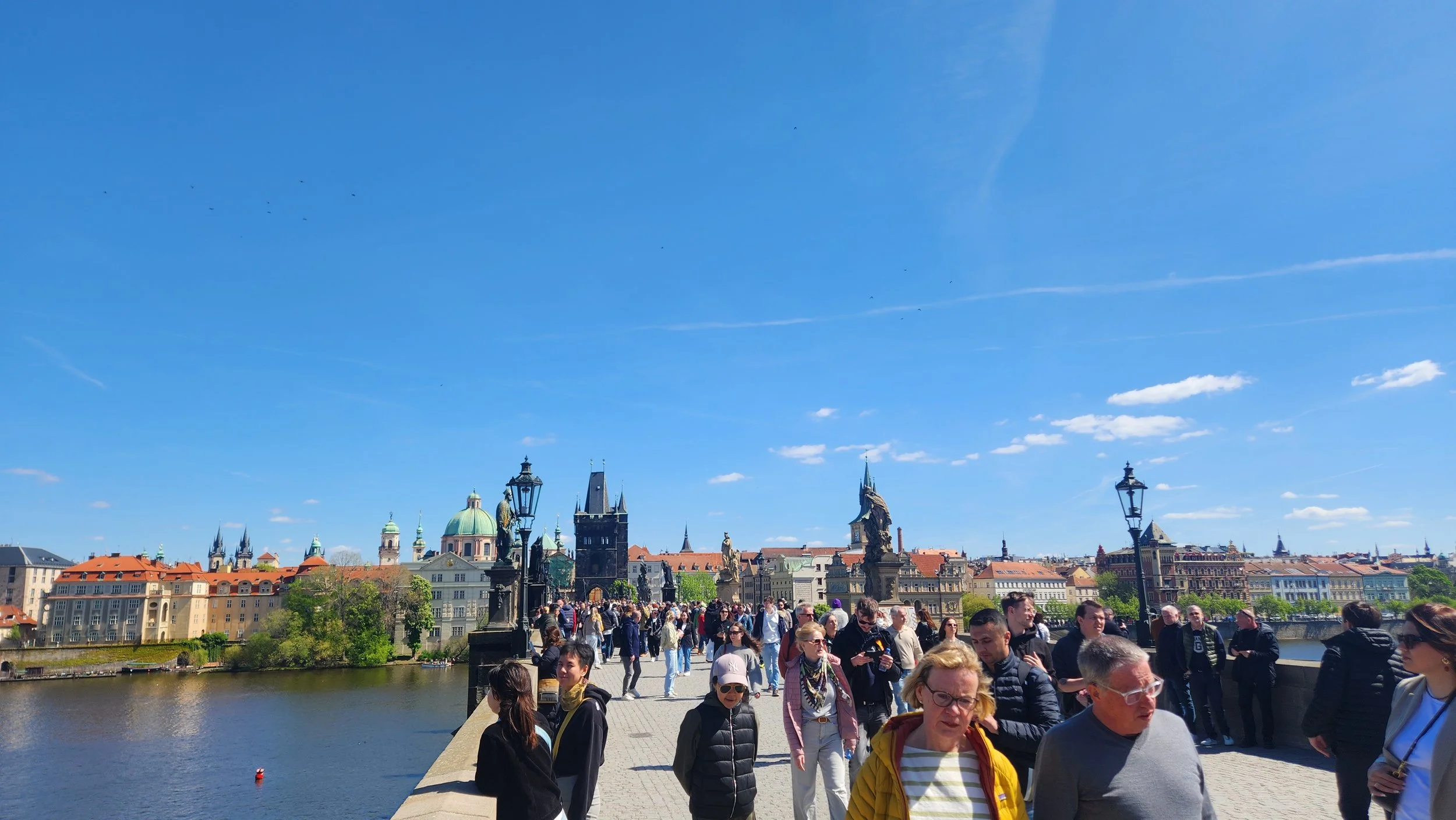 20260426_134534.jpg