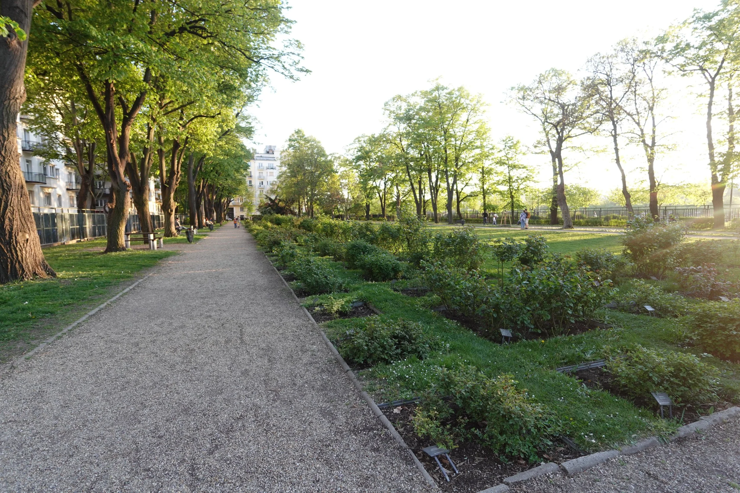 DSC01169.JPG