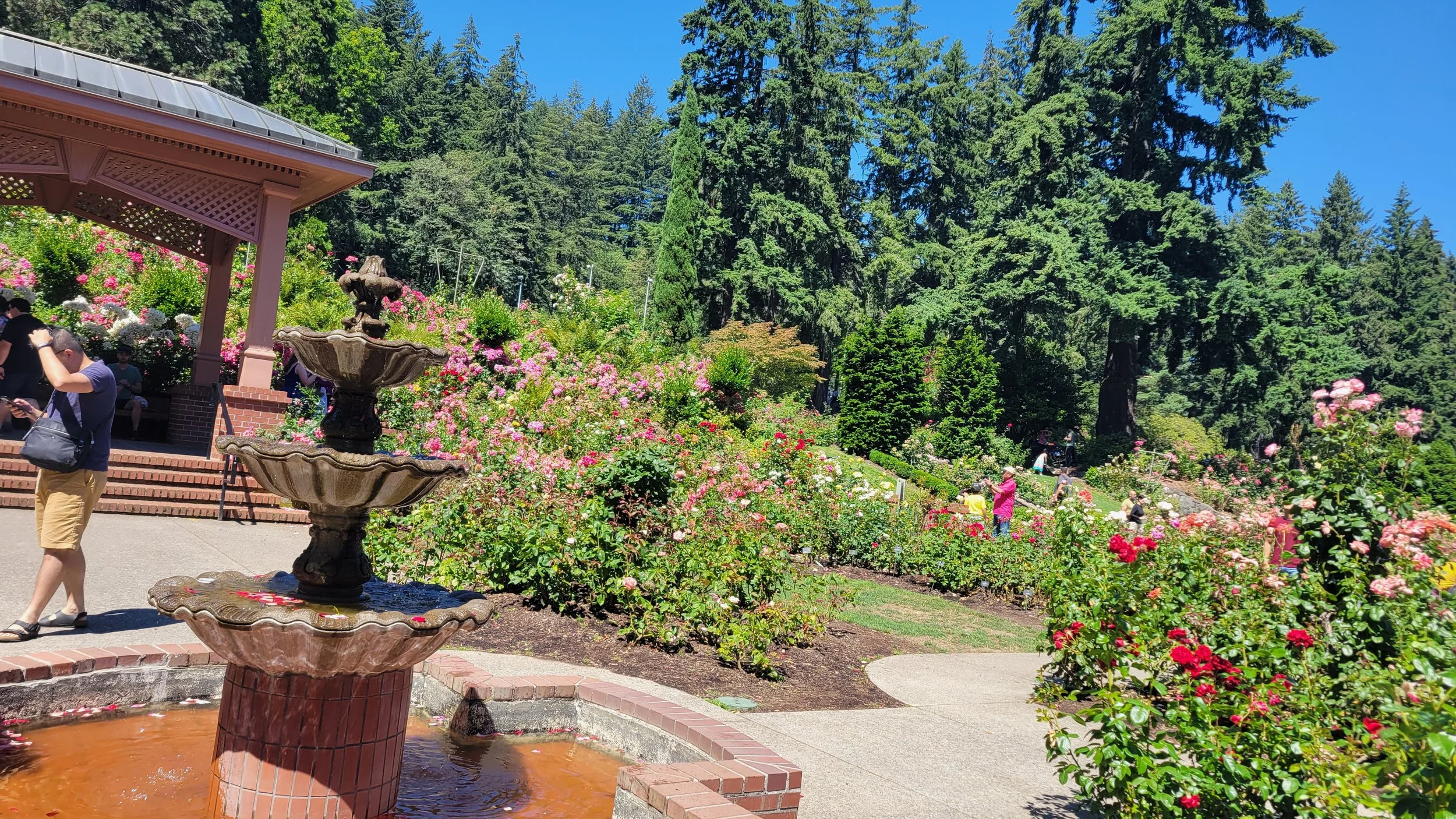 20220724_120731.jpg