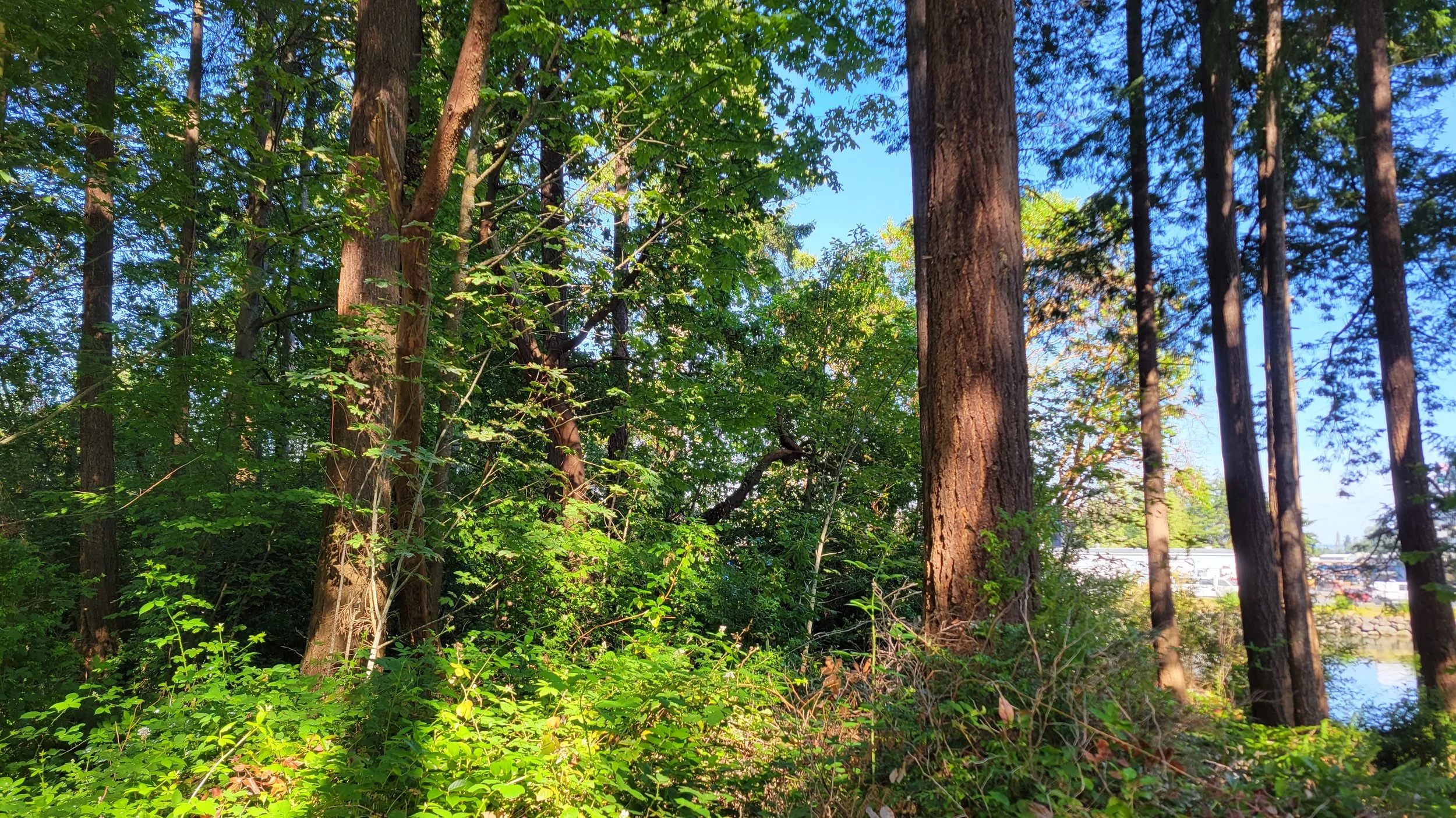 20220710_171108 - Copy.jpg