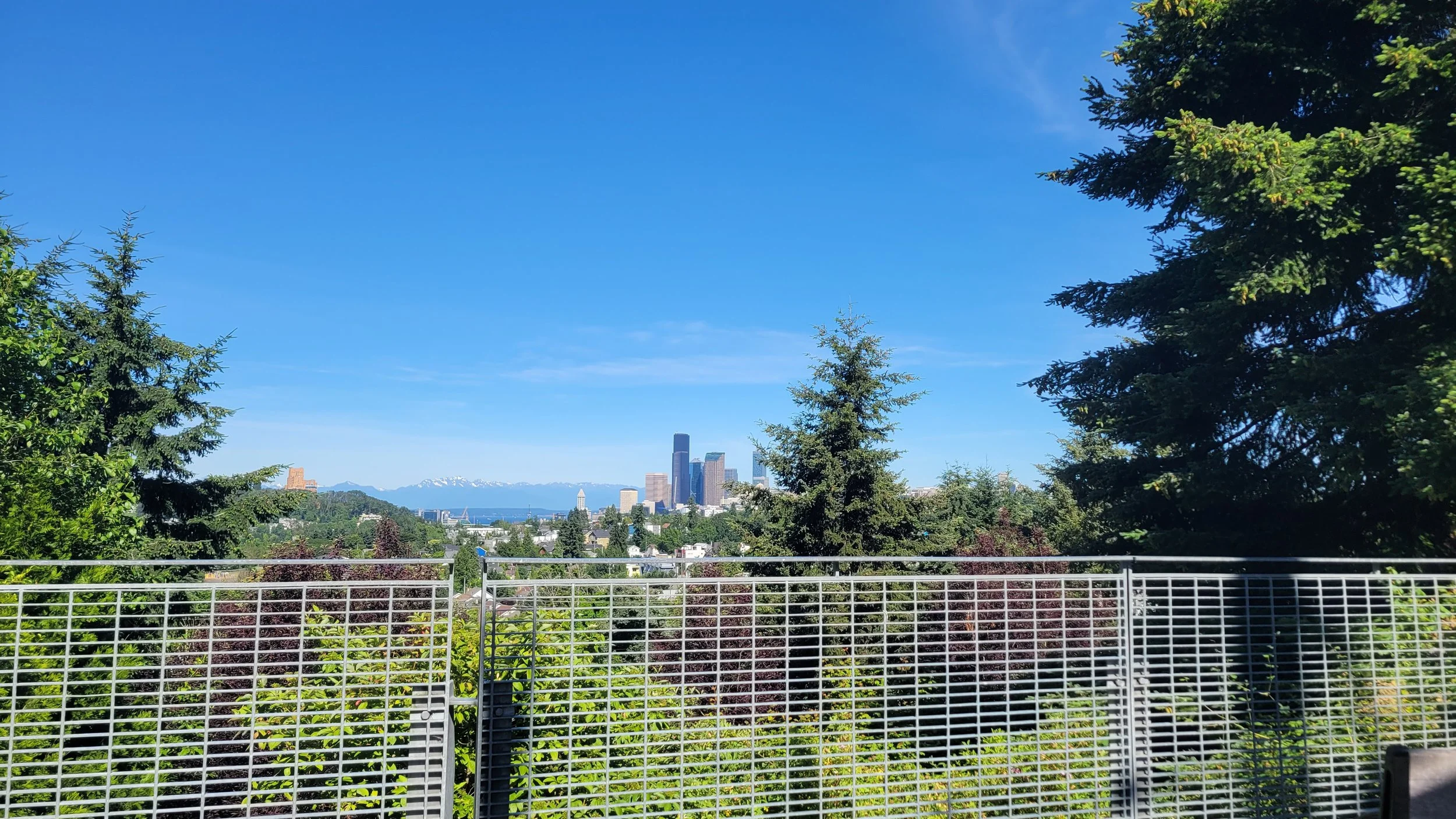 20220625_094739 - Copy.jpg