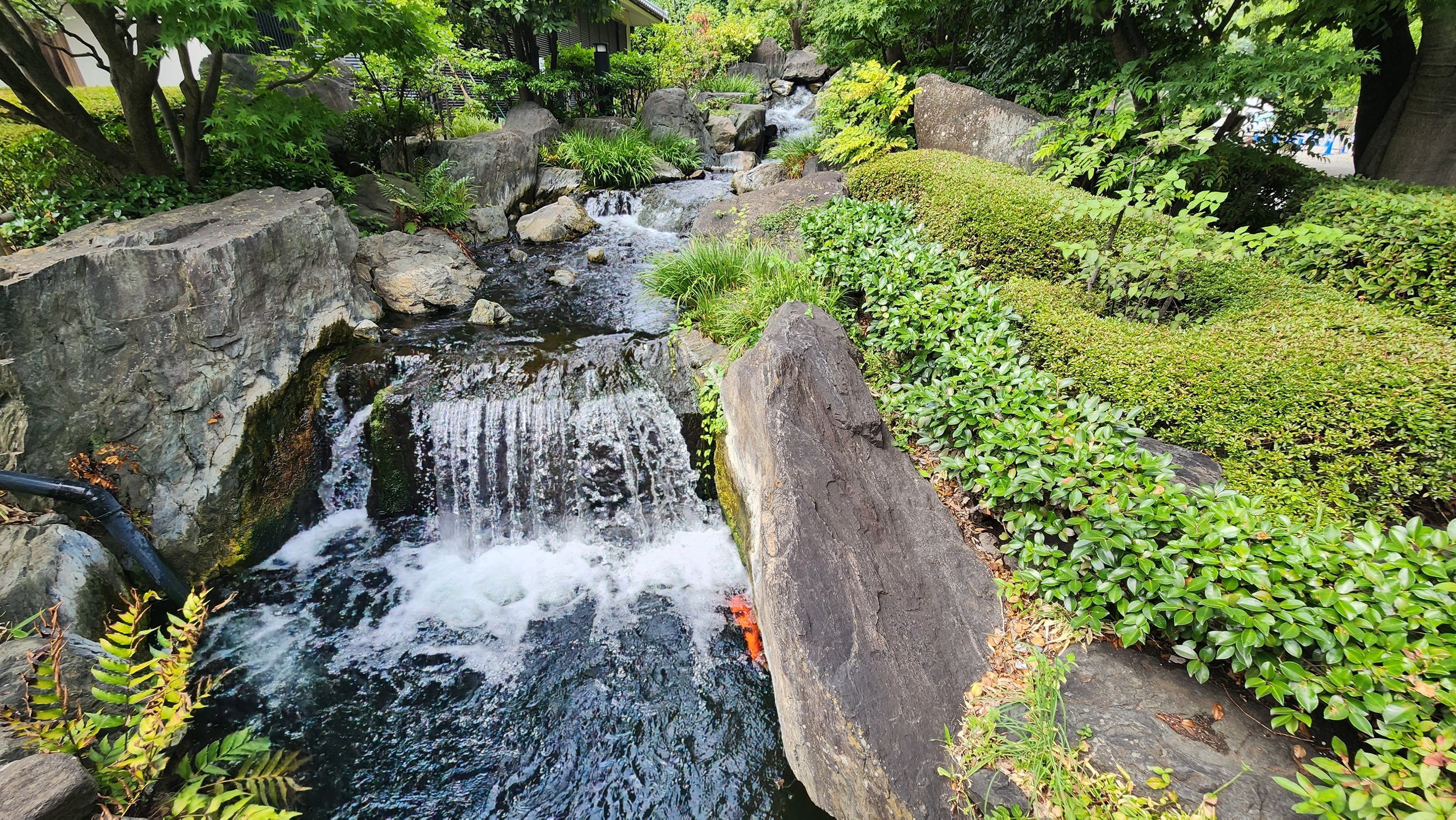 20230815_134942.jpg