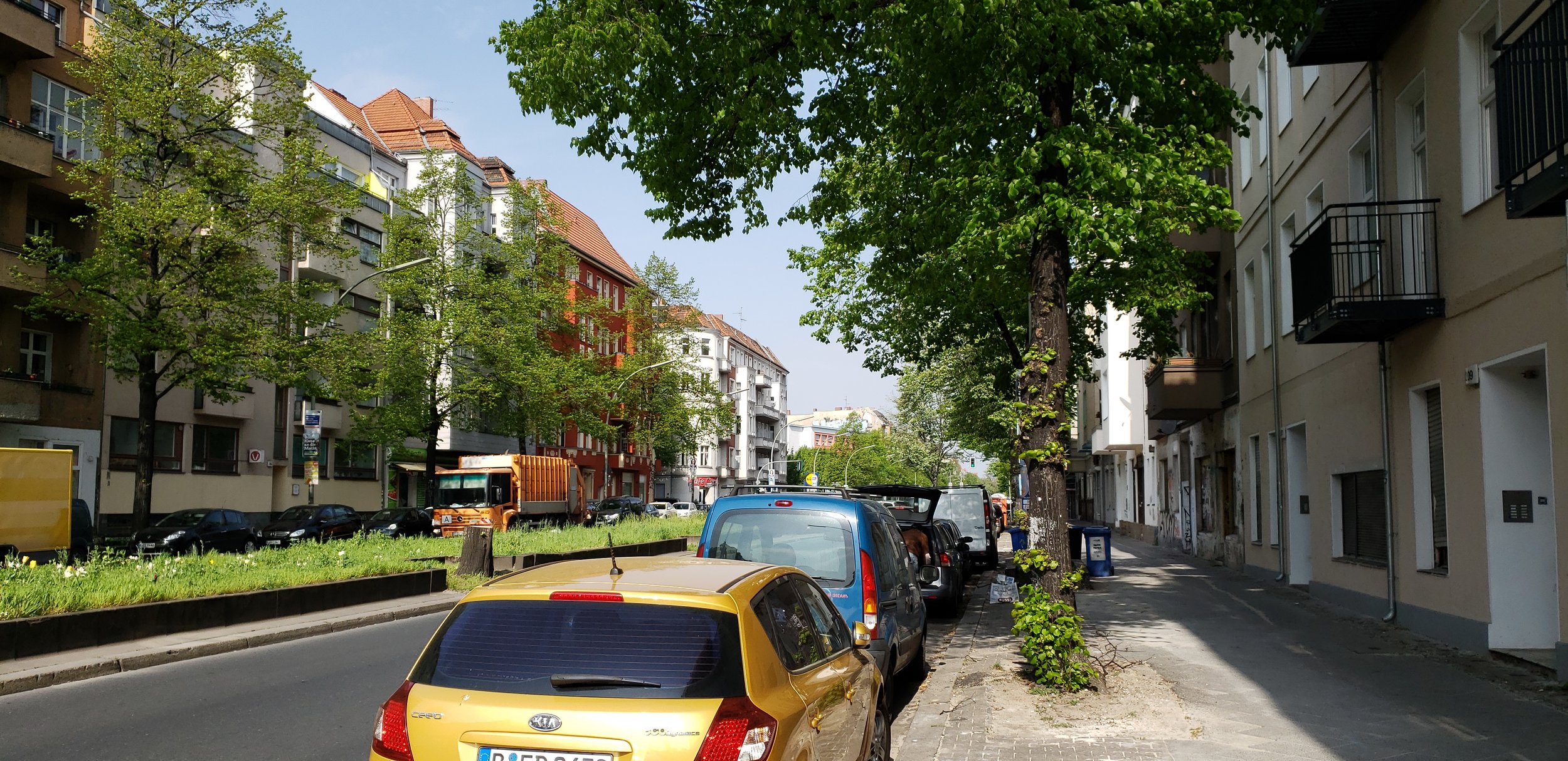 20190424_103102.jpg