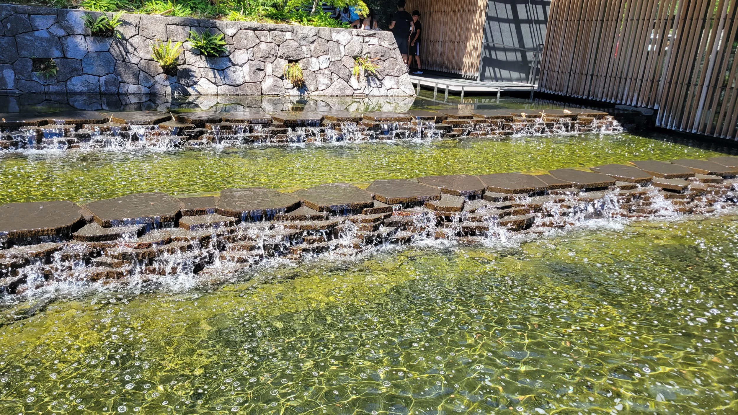 20220724_122527.jpg