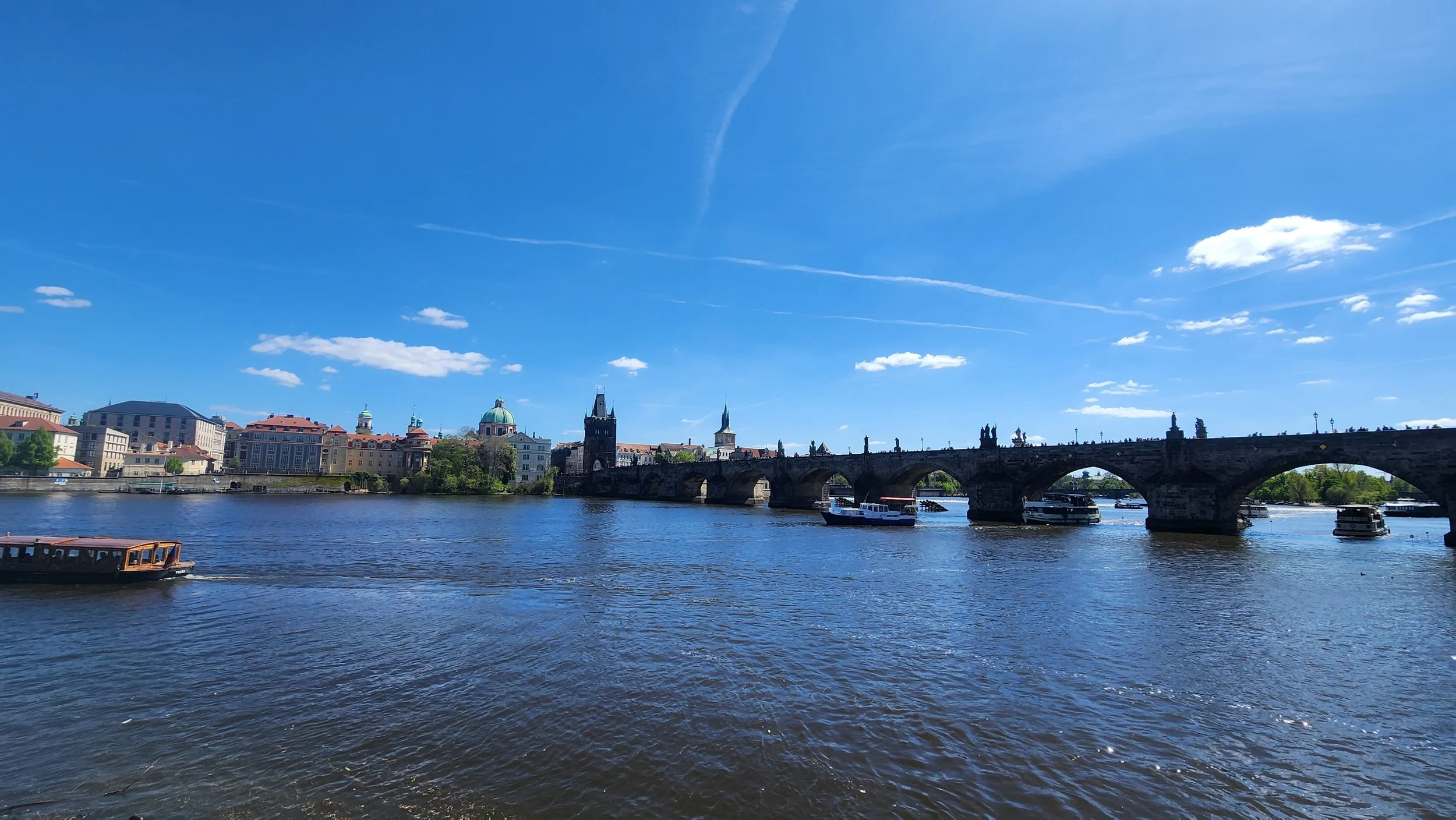 20260426_133547.jpg