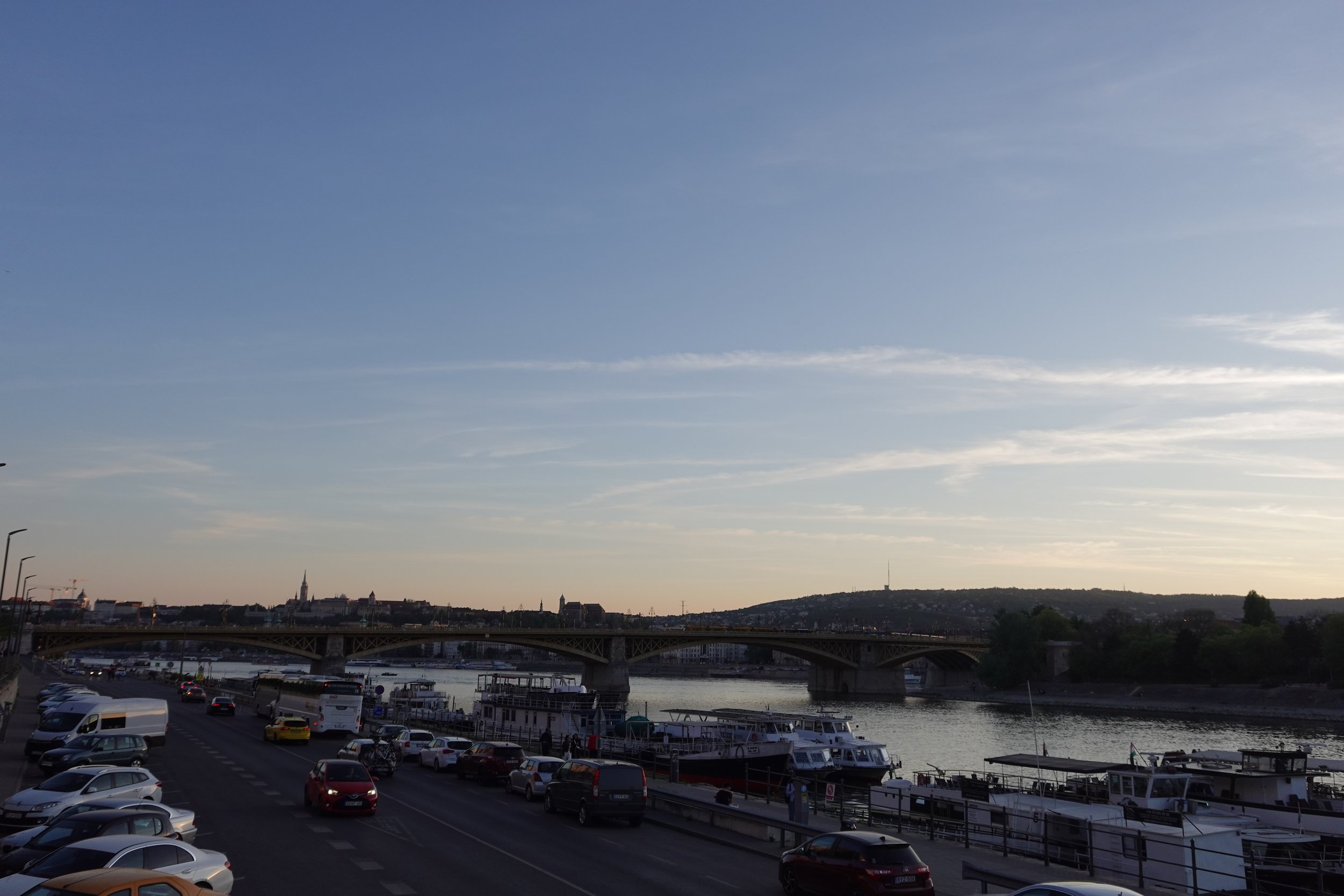 DSC01175.JPG