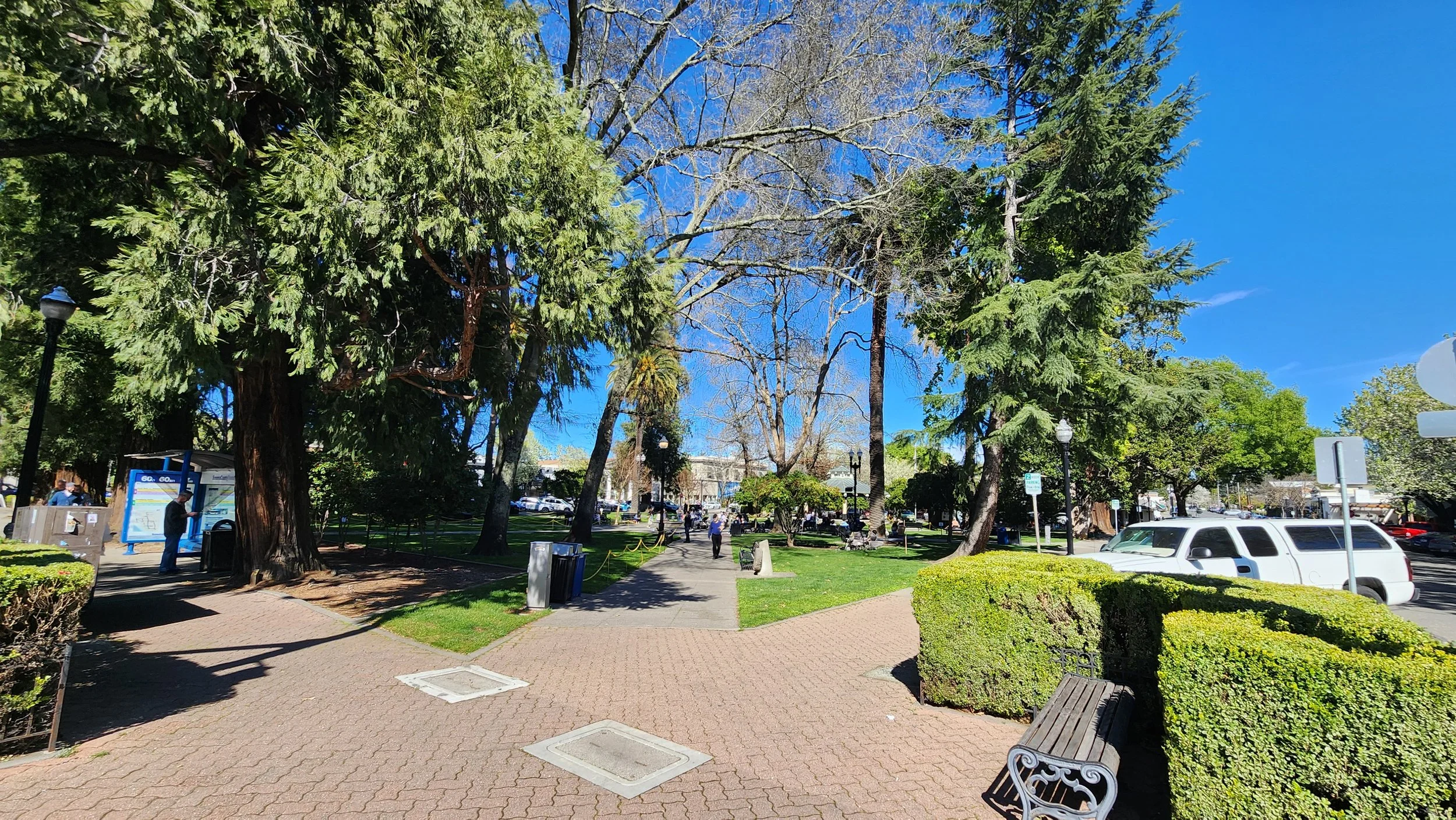 20250323_152459.jpg